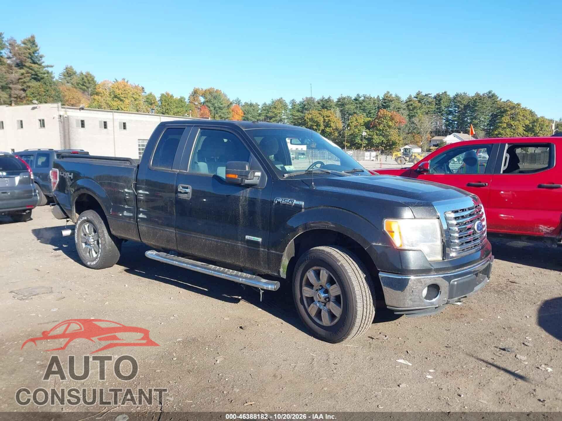 FORD F-150 2011 - 1FTFX1ET2BFA90587