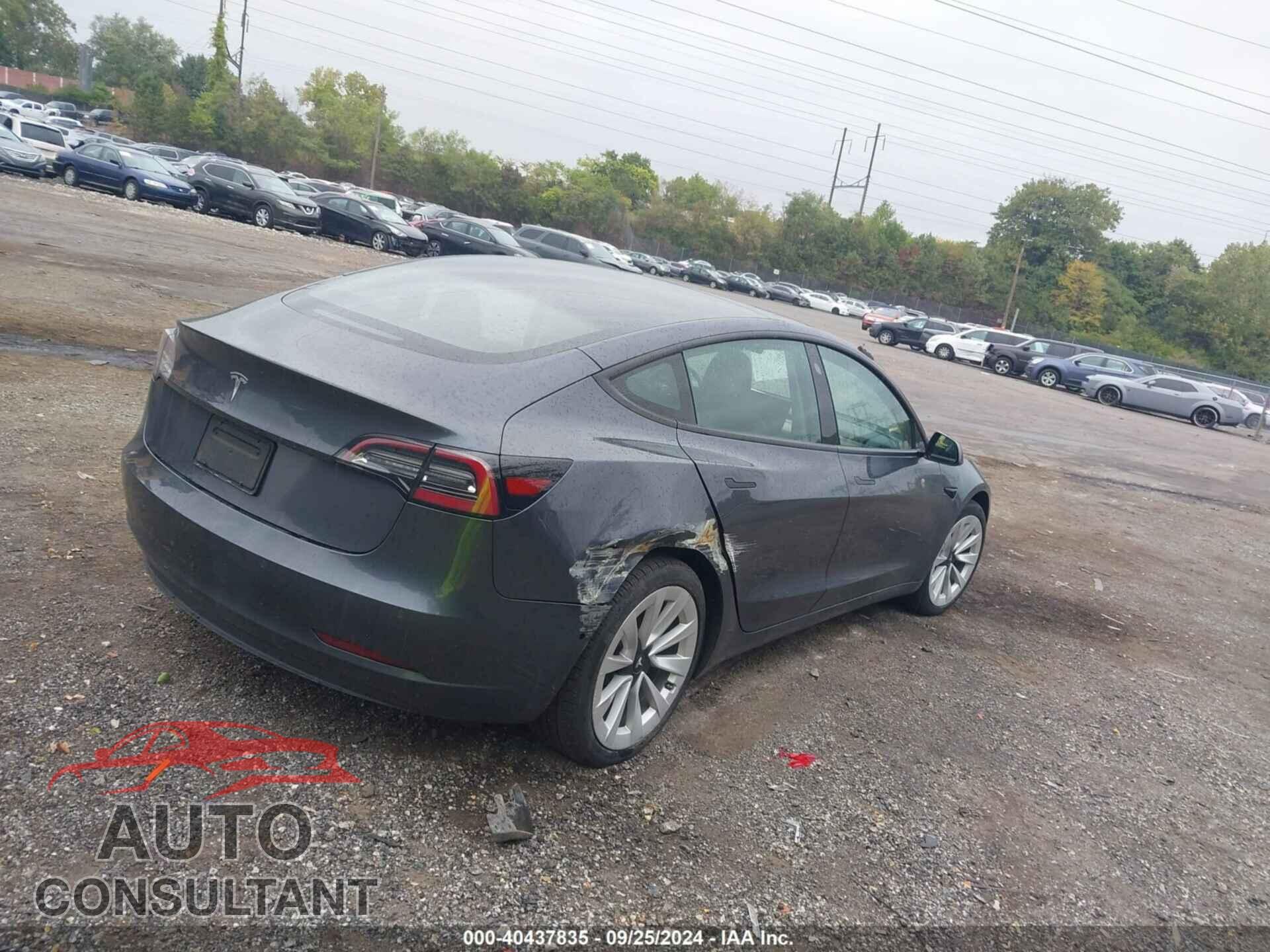 TESLA MODEL 3 2021 - 5YJ3E1EA8MF851038
