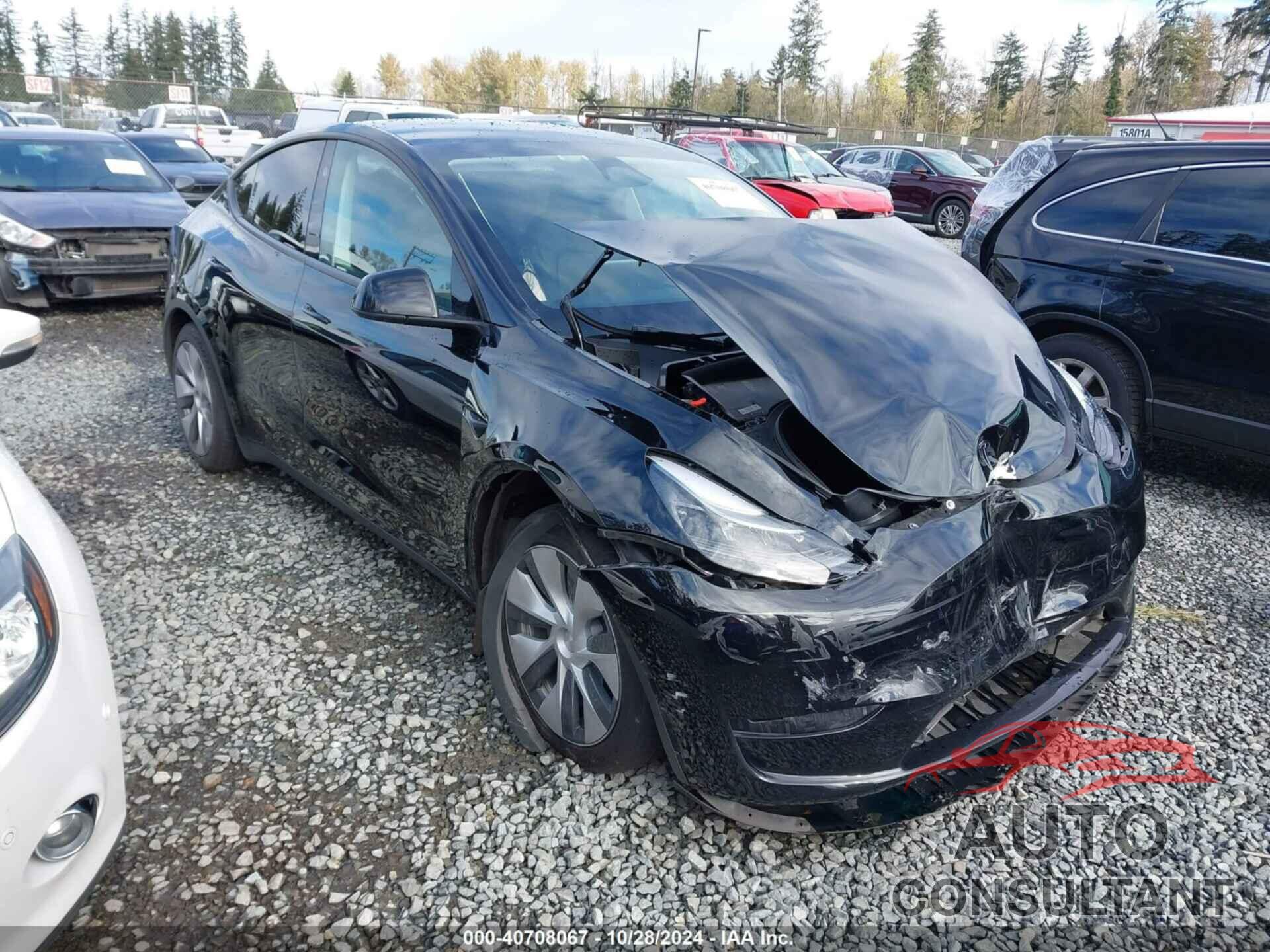 TESLA MODEL Y 2024 - 7SAYGAEE8RF981351