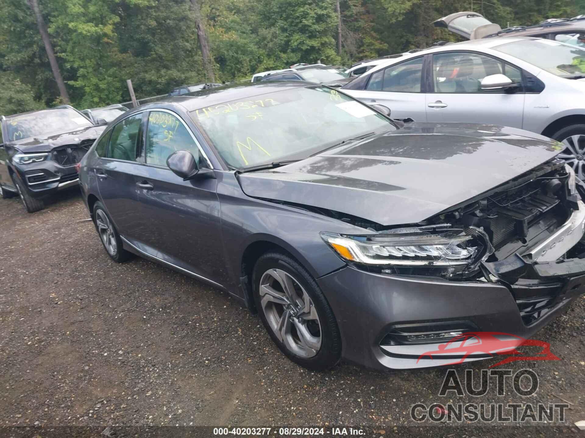 HONDA ACCORD 2019 - 1HGCV1F58KA098104