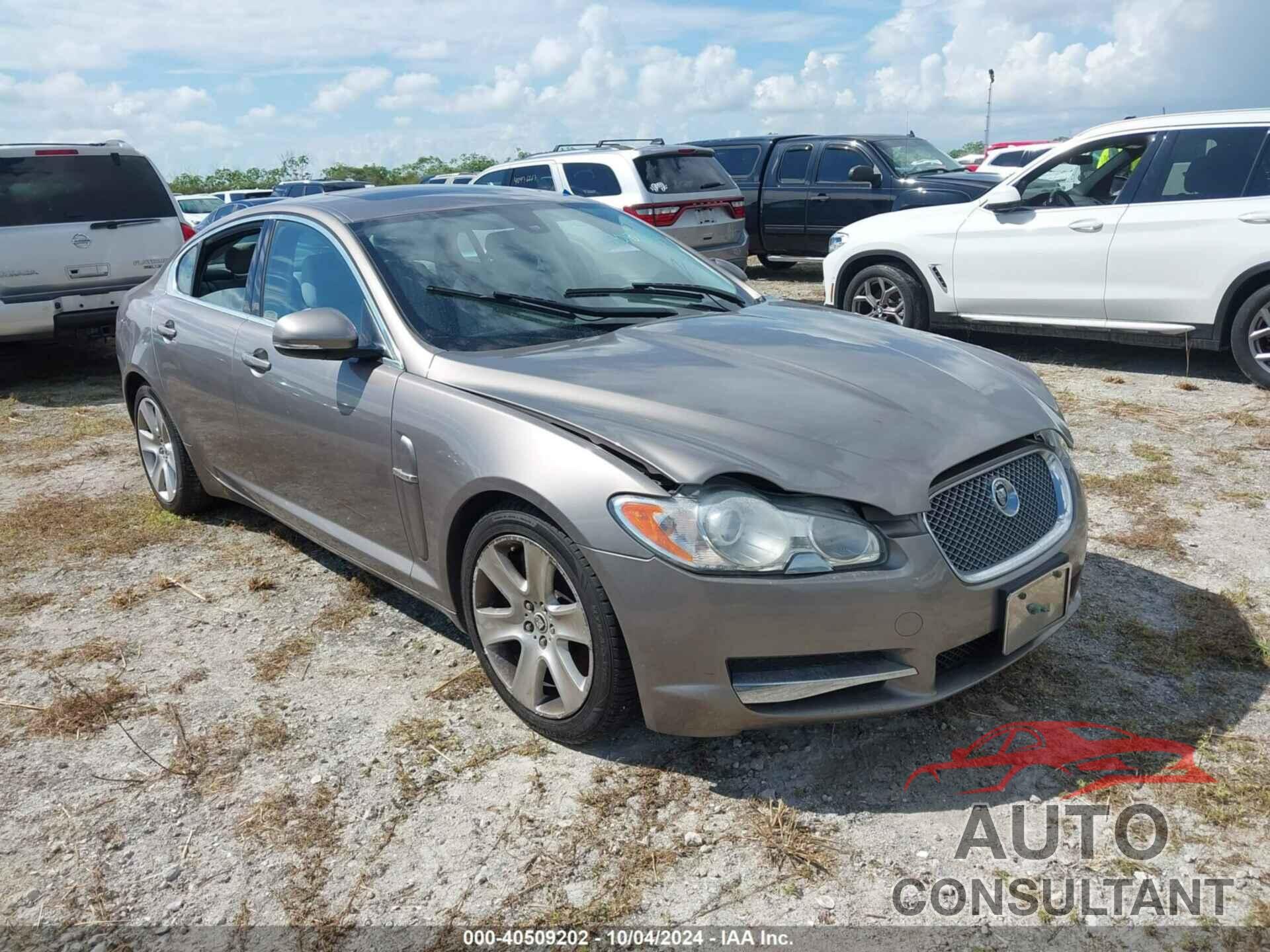 JAGUAR XF 2011 - SAJWA0FB0BLS14456