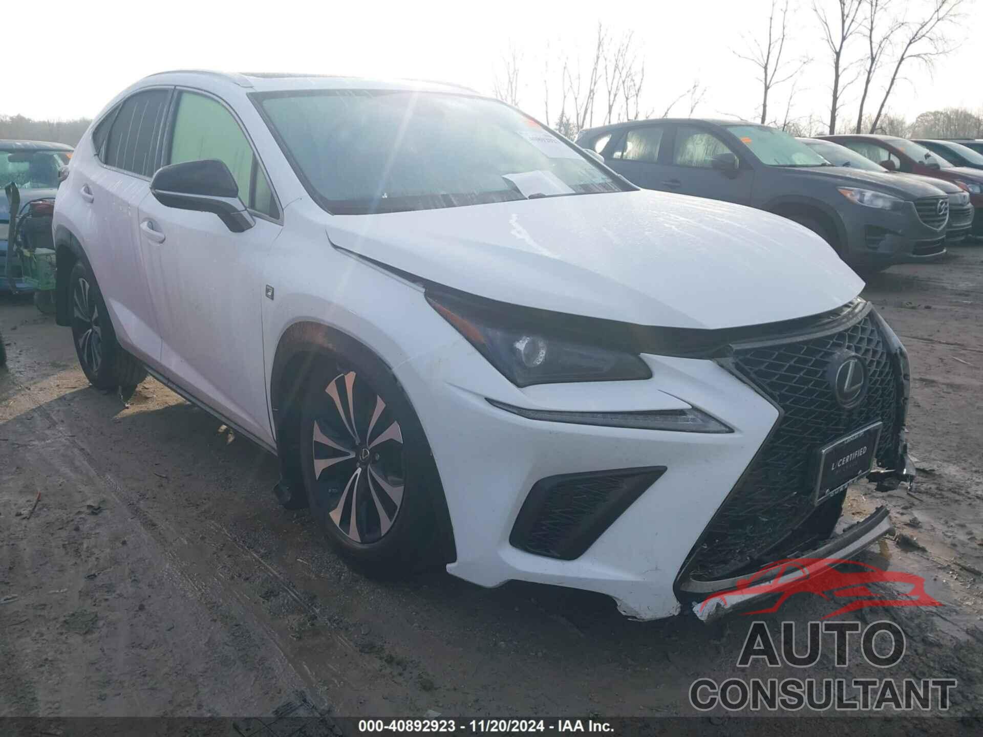LEXUS NX 300 2021 - JTJSARDZ5M2239697