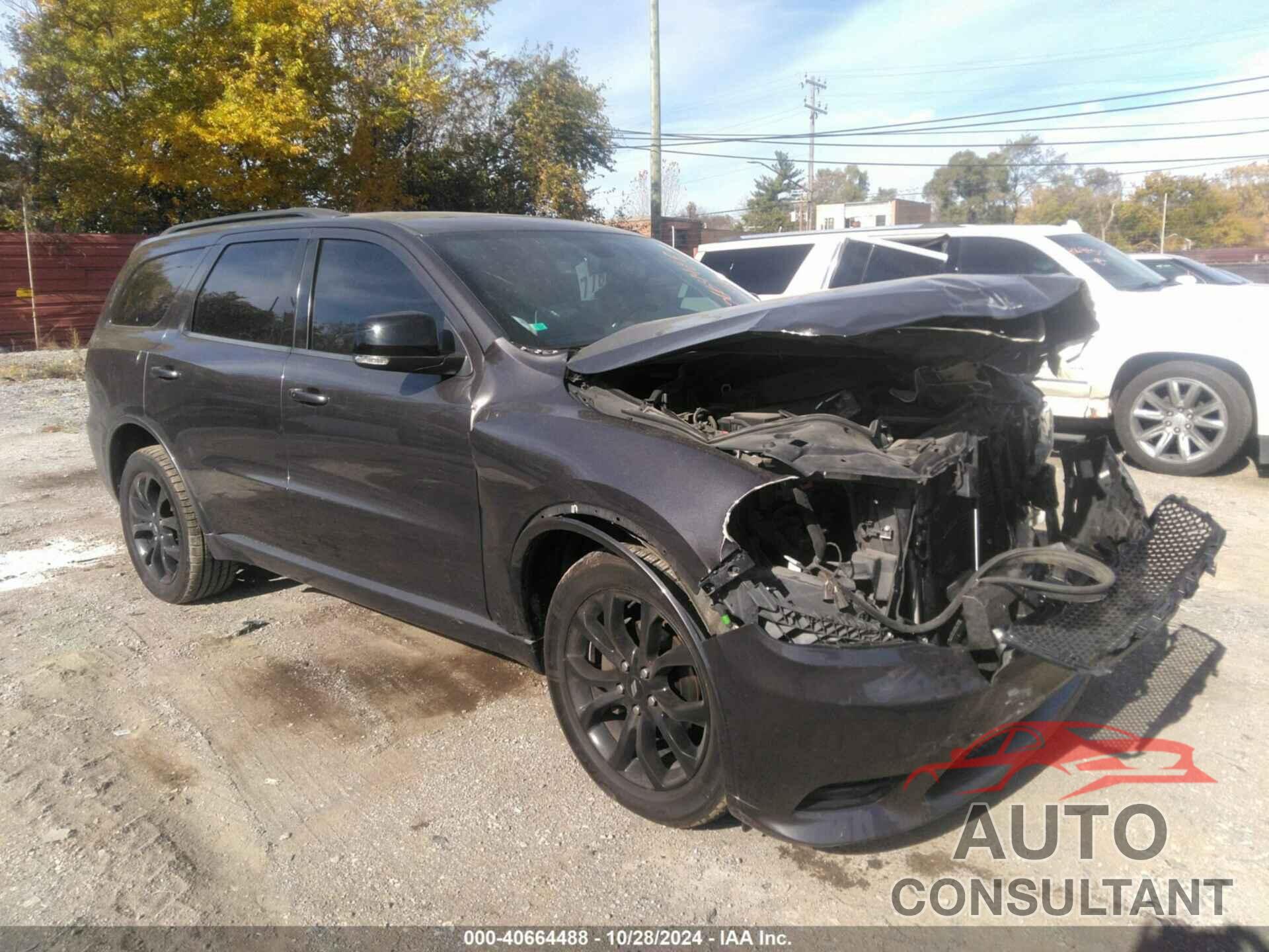 DODGE DURANGO 2019 - 1C4RDJDG3KC634218