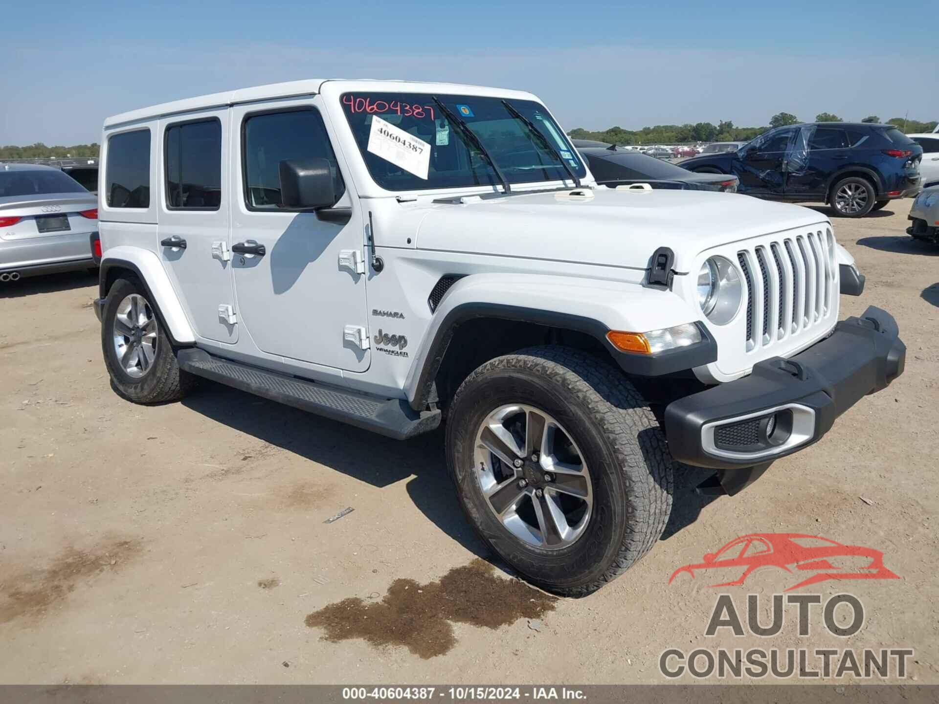 JEEP WRANGLER UNLIMITED 2021 - 1C4HJXEG2MW505877