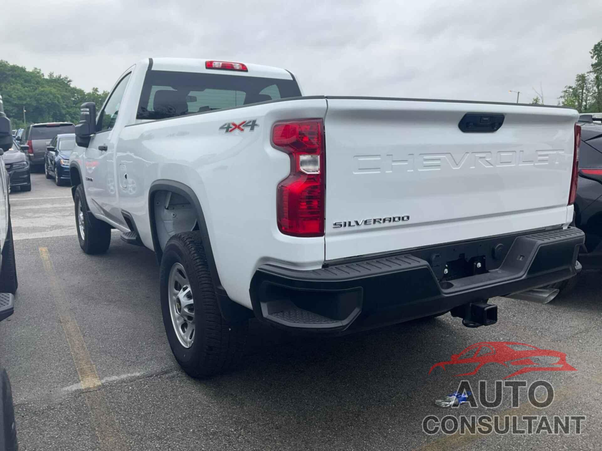 CHEVROLET SILVERADO 2023 - 1GC3YSE77PF261317