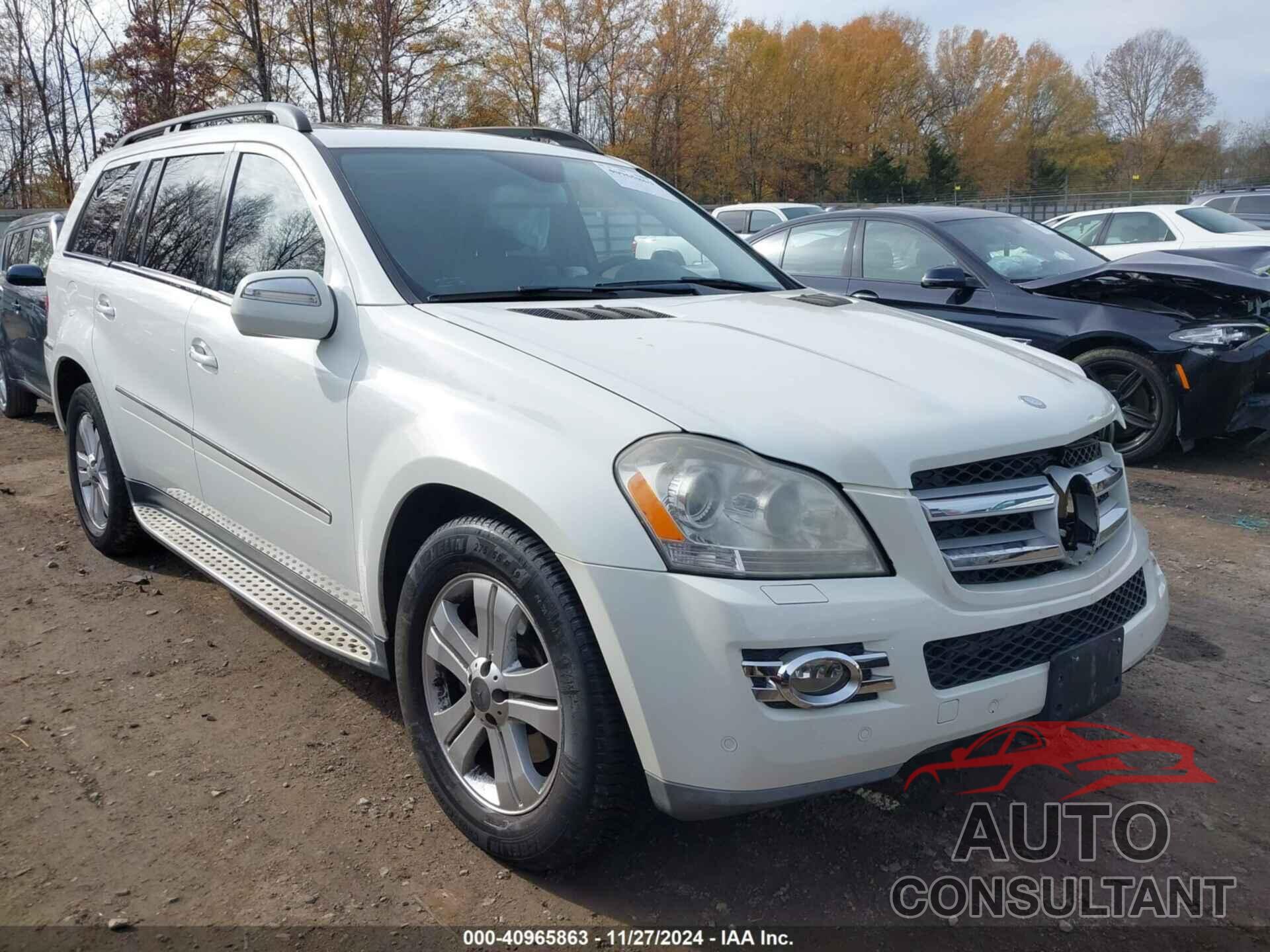 MERCEDES-BENZ GL 450 2009 - 4JGBF71E79A515672