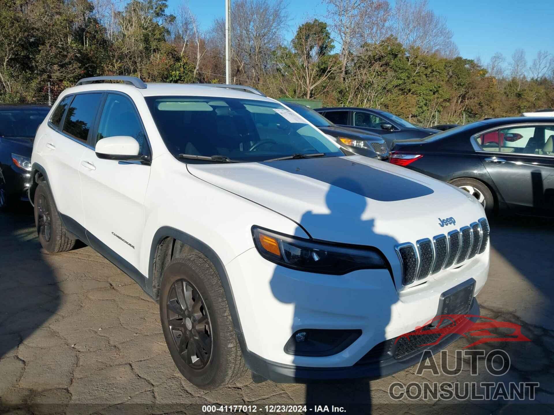 JEEP CHEROKEE 2019 - 1C4PJMCX7KD121129