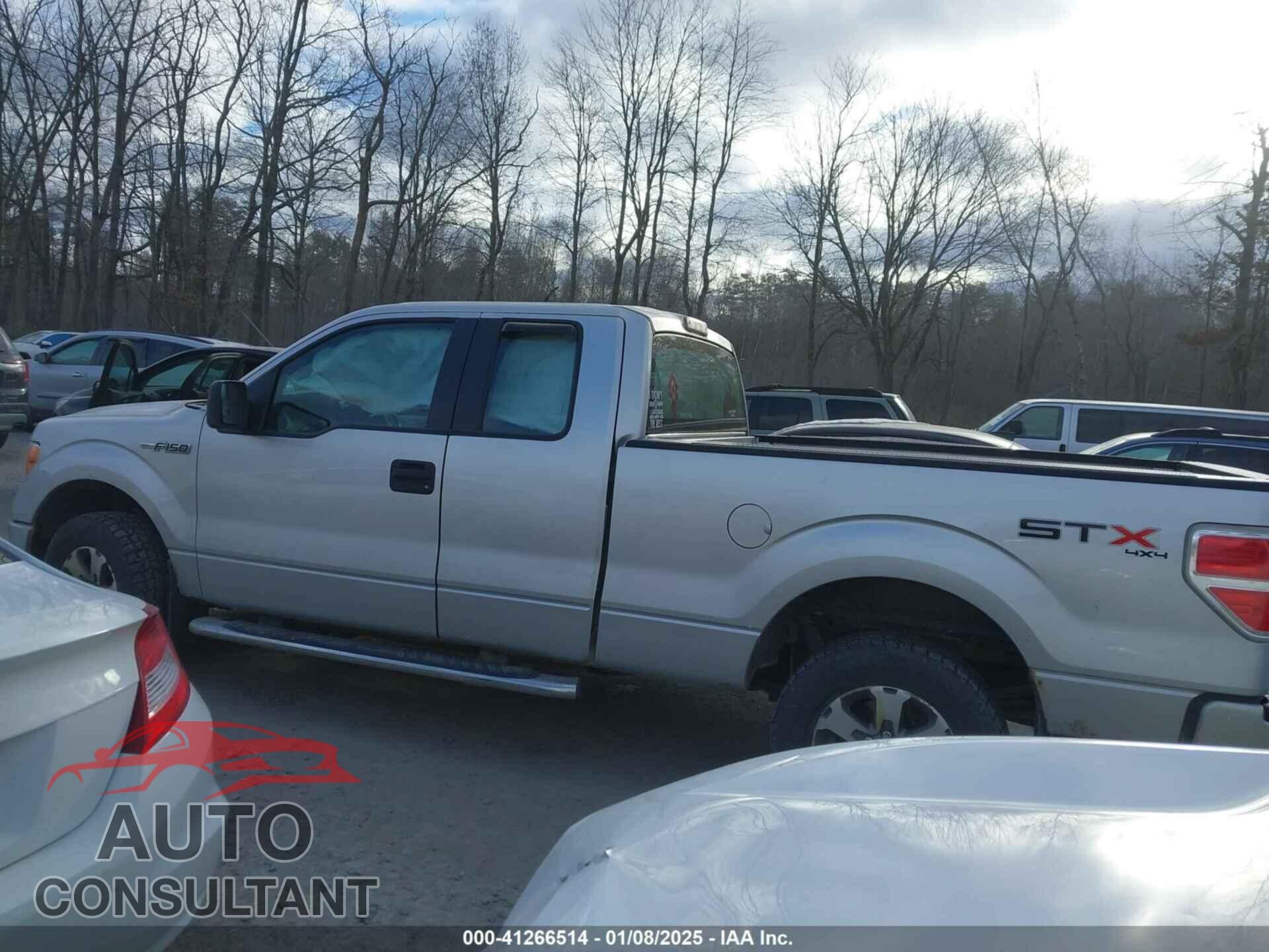 FORD F-150 2013 - 1FTFX1EF2DFD88635