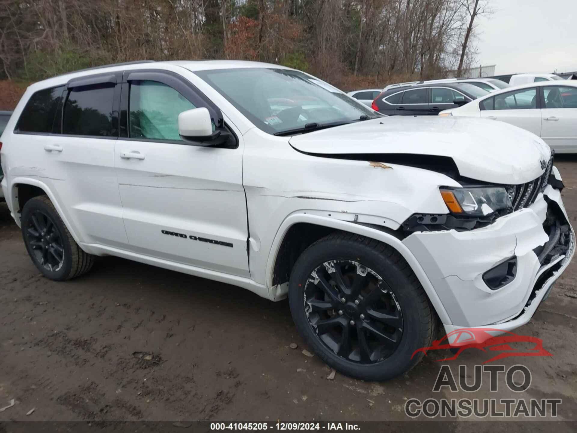 JEEP GRAND CHEROKEE 2019 - 1C4RJFAG6KC710010