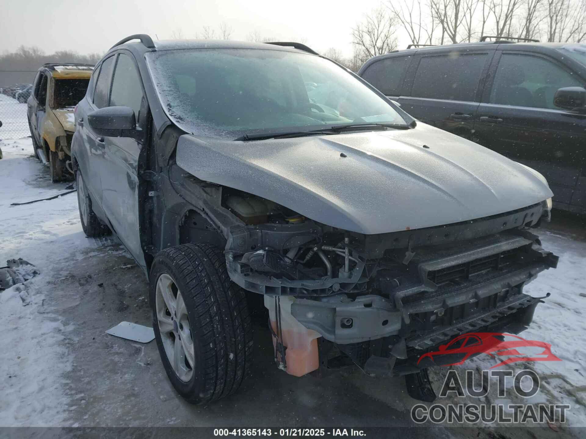 FORD ESCAPE 2014 - 1FMCU9GX4EUE38413