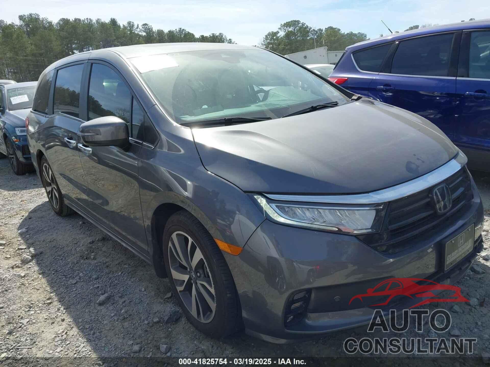 HONDA ODYSSEY 2024 - 5FNRL6H82RB031695
