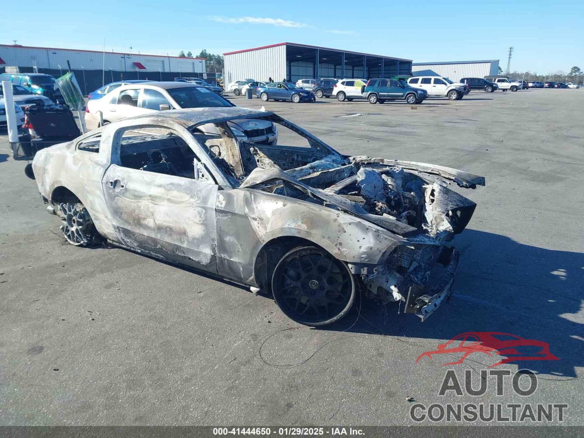 FORD MUSTANG 2014 - 1ZVBP8CF0E5329971