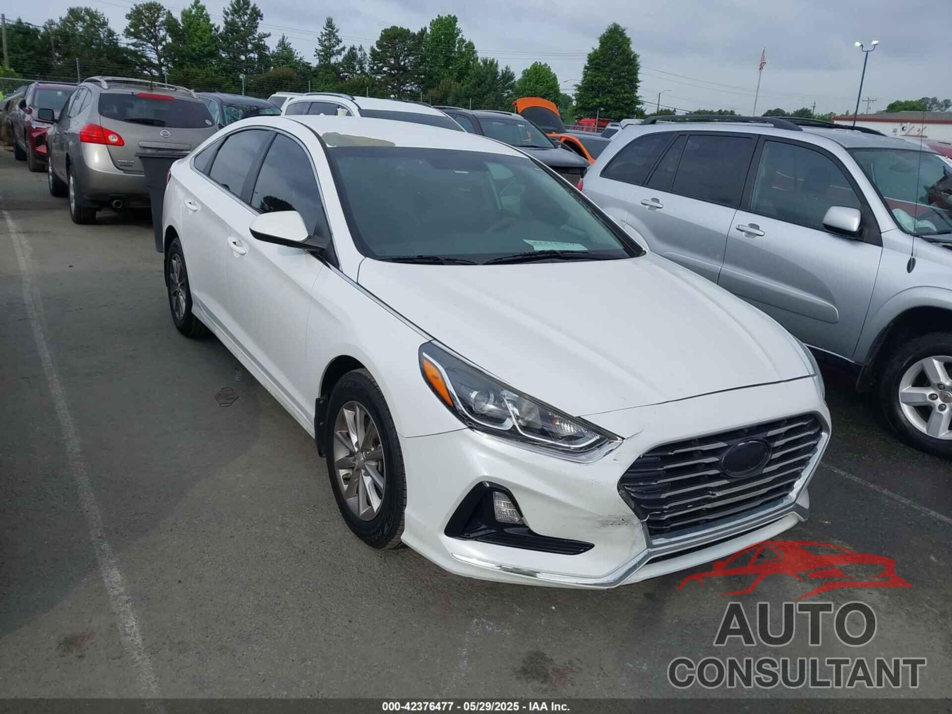 HYUNDAI SONATA 2019 - 5NPE24AF4KH745074