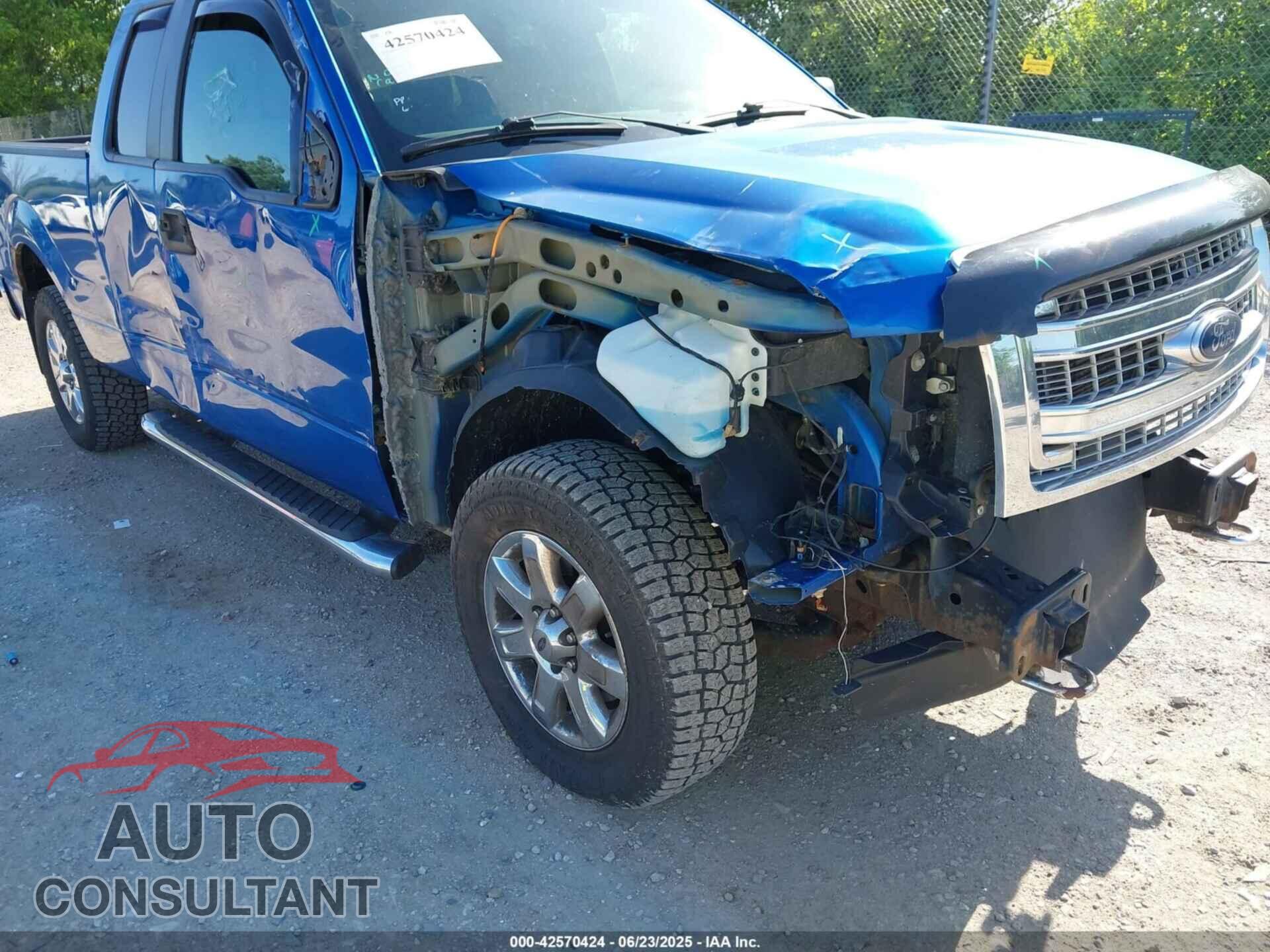 FORD F-150 2013 - 1FTFX1EF1DFD25414