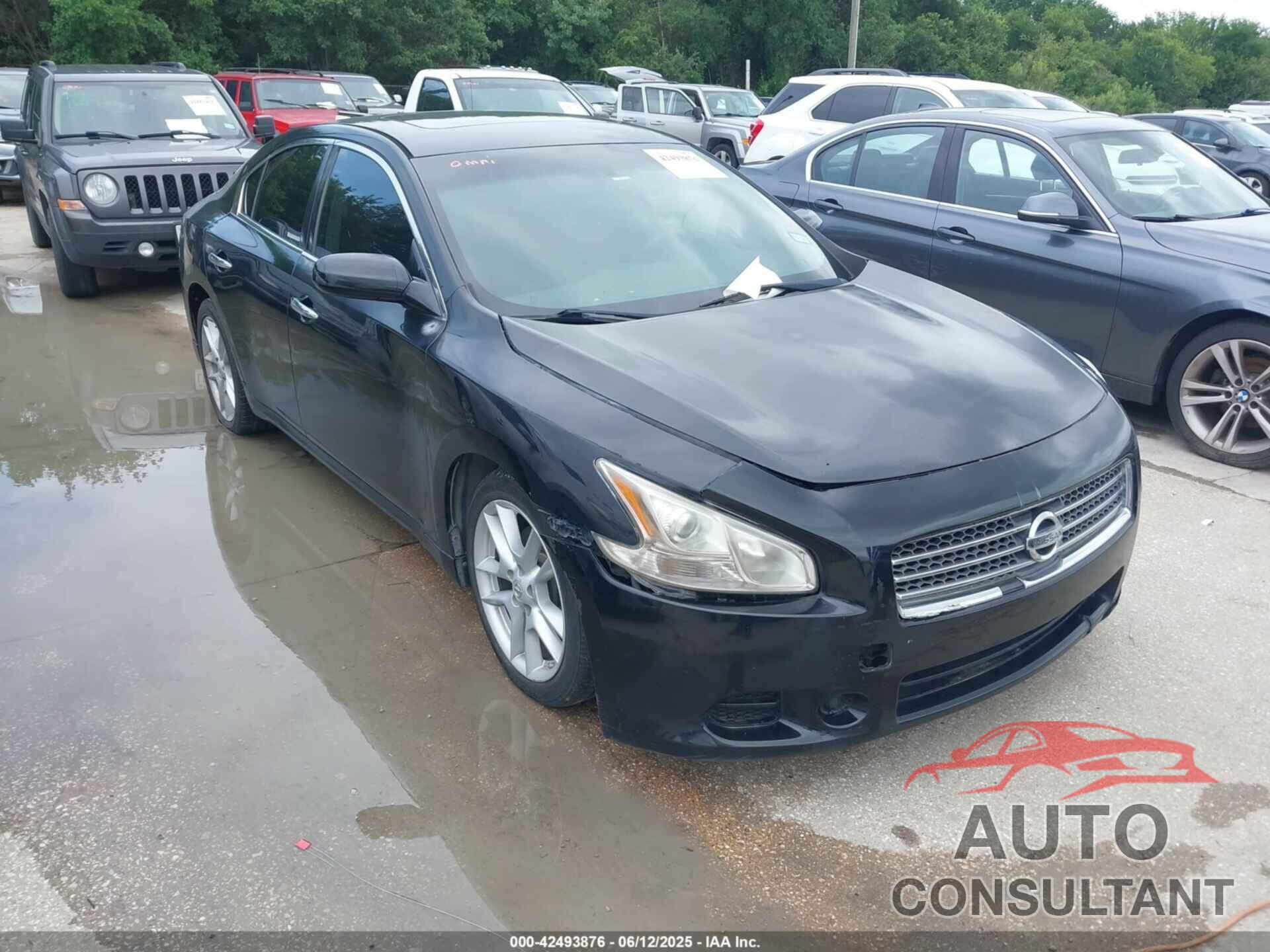 NISSAN MAXIMA 2010 - 1N4AA5AP2AC855086