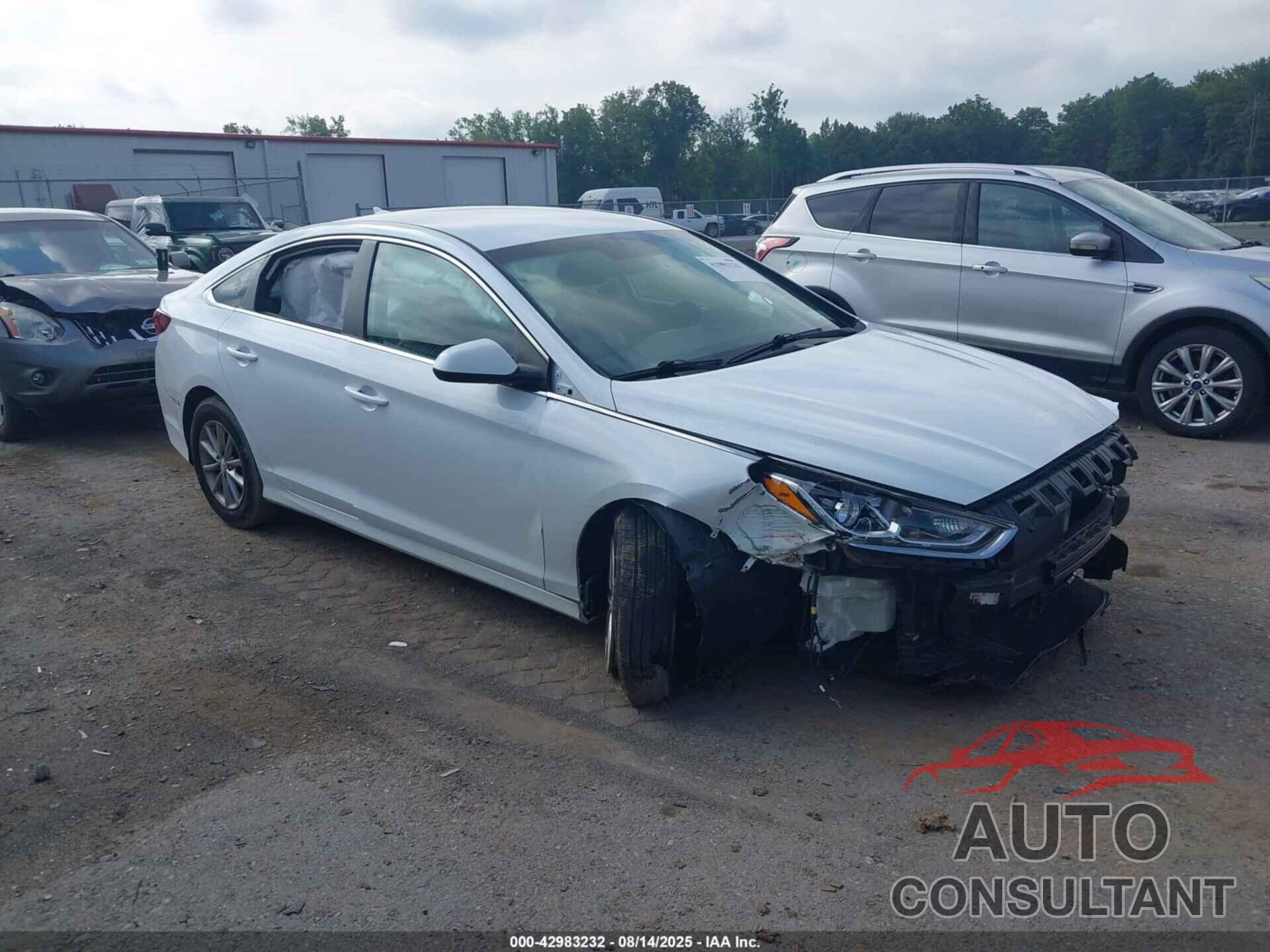 HYUNDAI SONATA 2019 - 5NPE24AF4KH795599