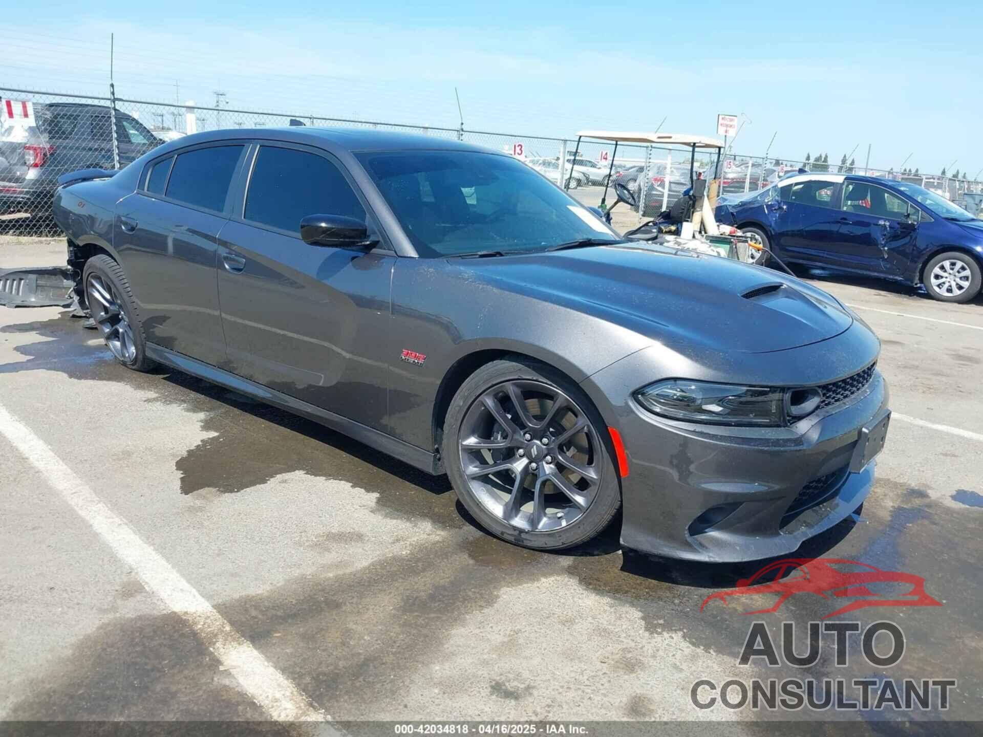 DODGE CHARGER 2023 - 2C3CDXGJ1PH698881