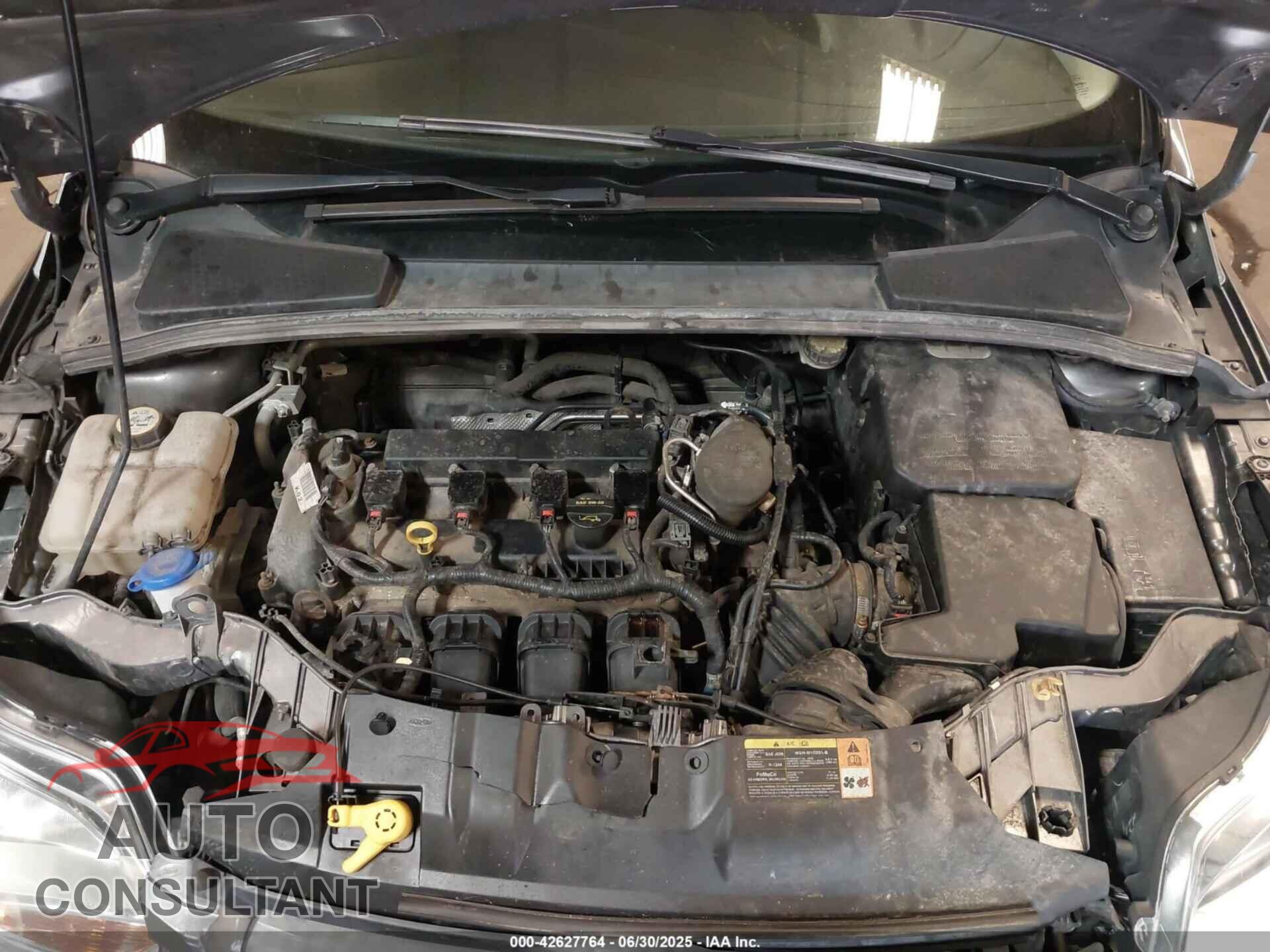 FORD FOCUS 2013 - 1FADP3F21DL330019