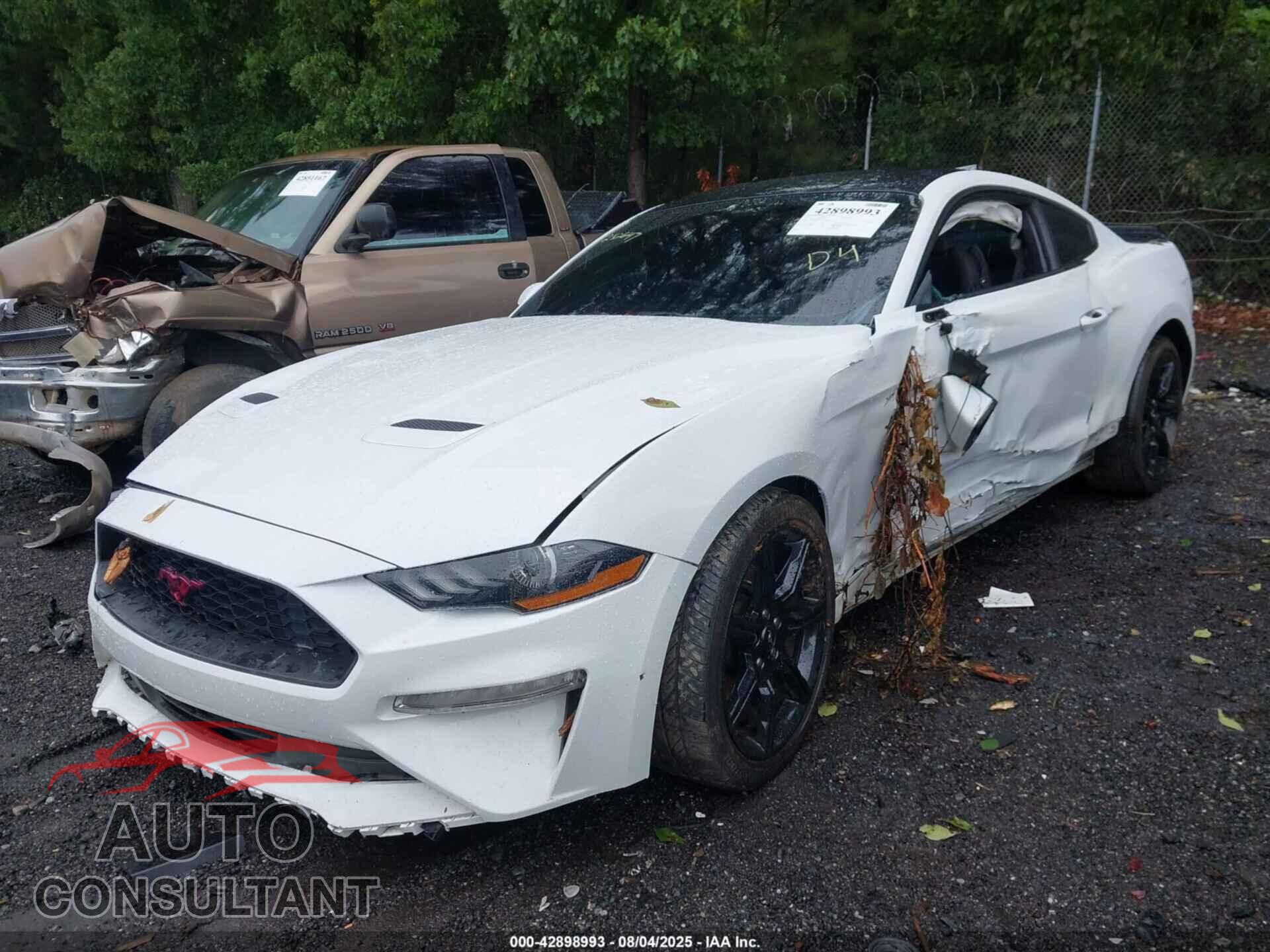 FORD MUSTANG 2019 - 1FA6P8TH3K5111482