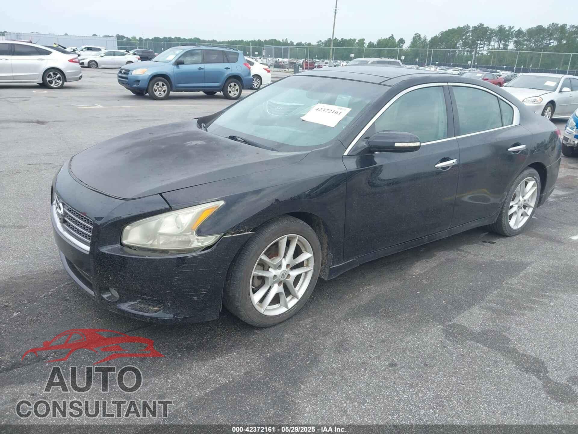 NISSAN MAXIMA 2011 - 1N4AA5AP1BC855128