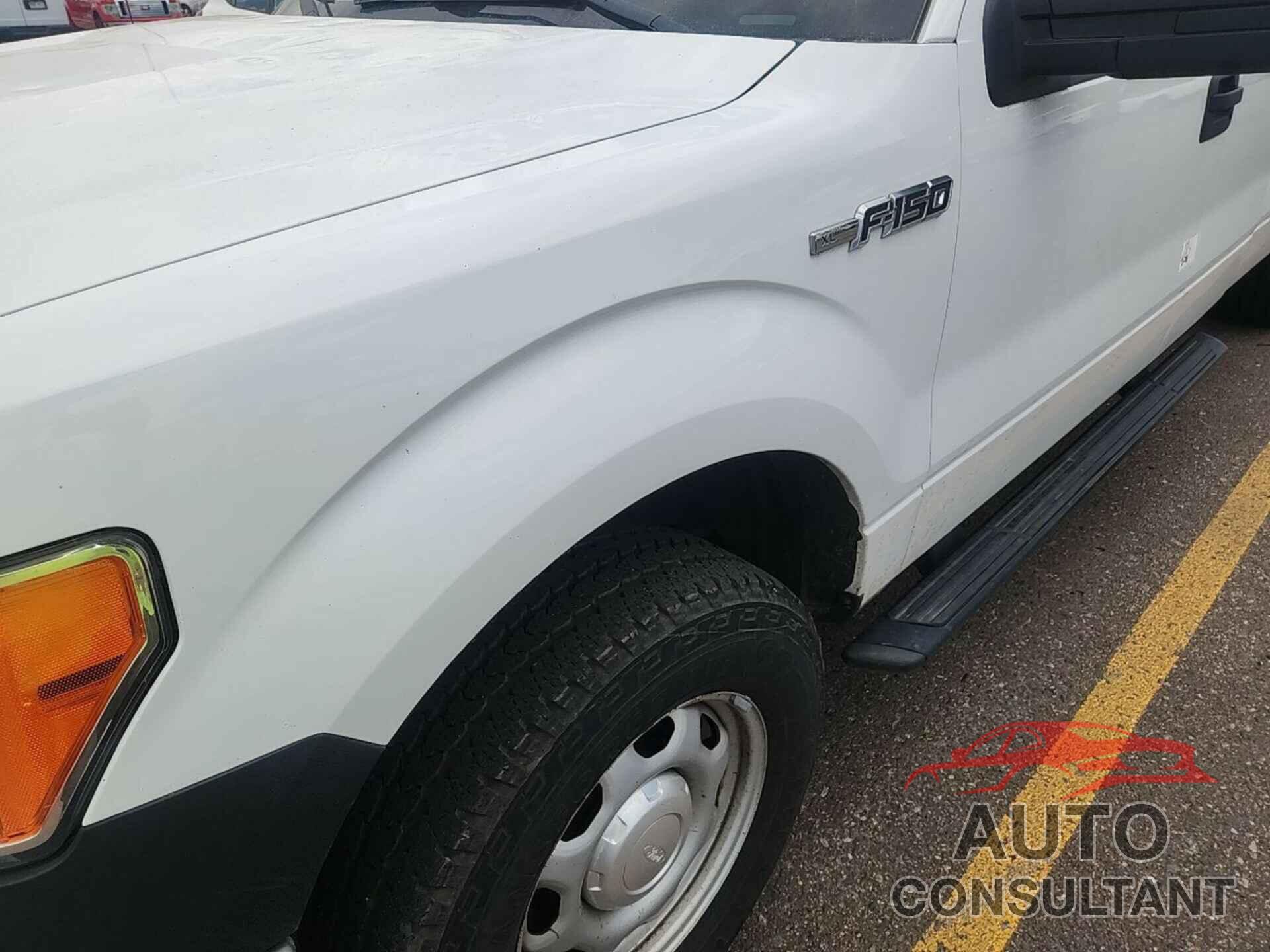 FORD F150 2013 - 1FTFX1EF0DKF87495