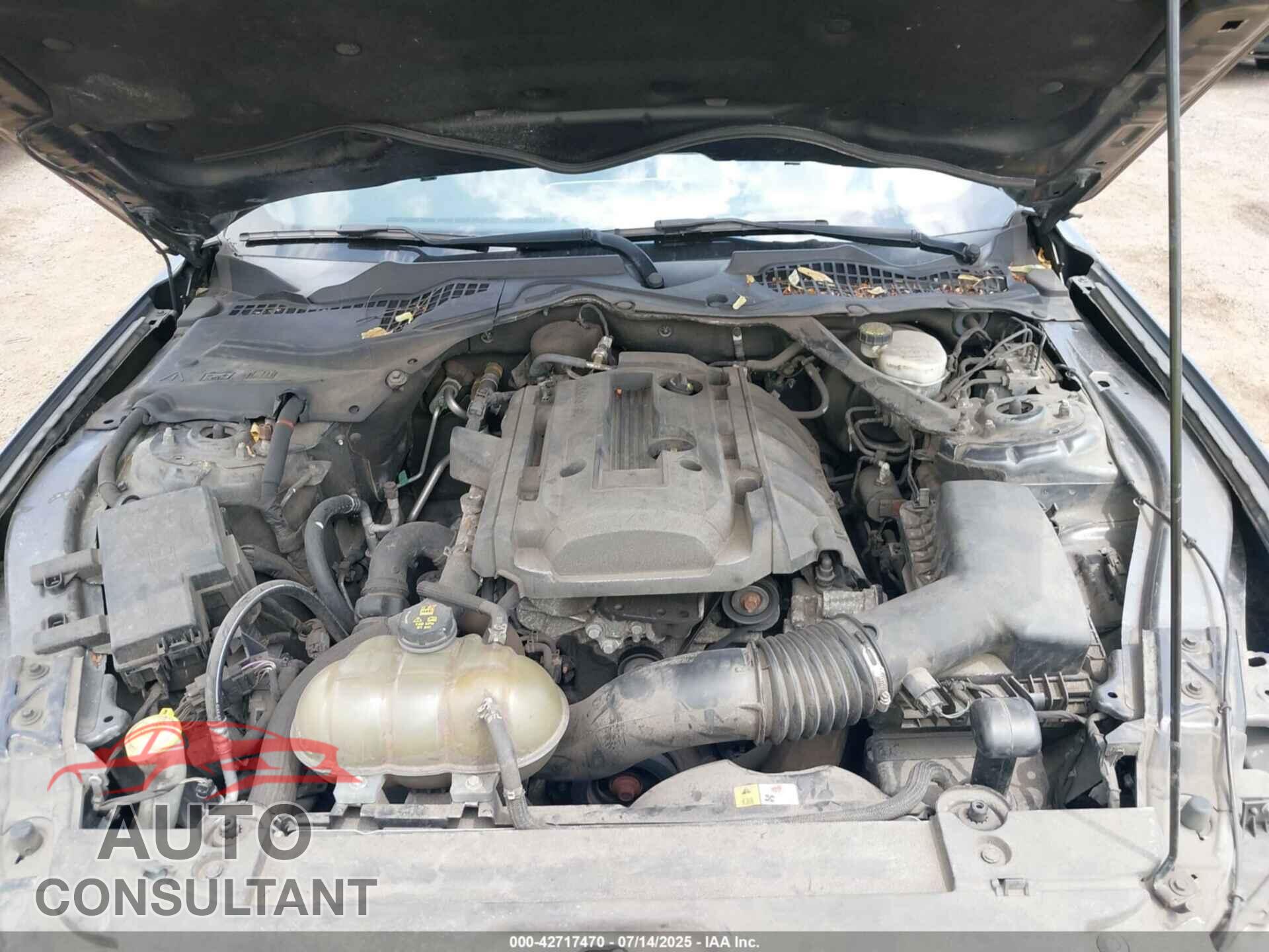 FORD MUSTANG 2017 - 1FATP8UH4H5293879