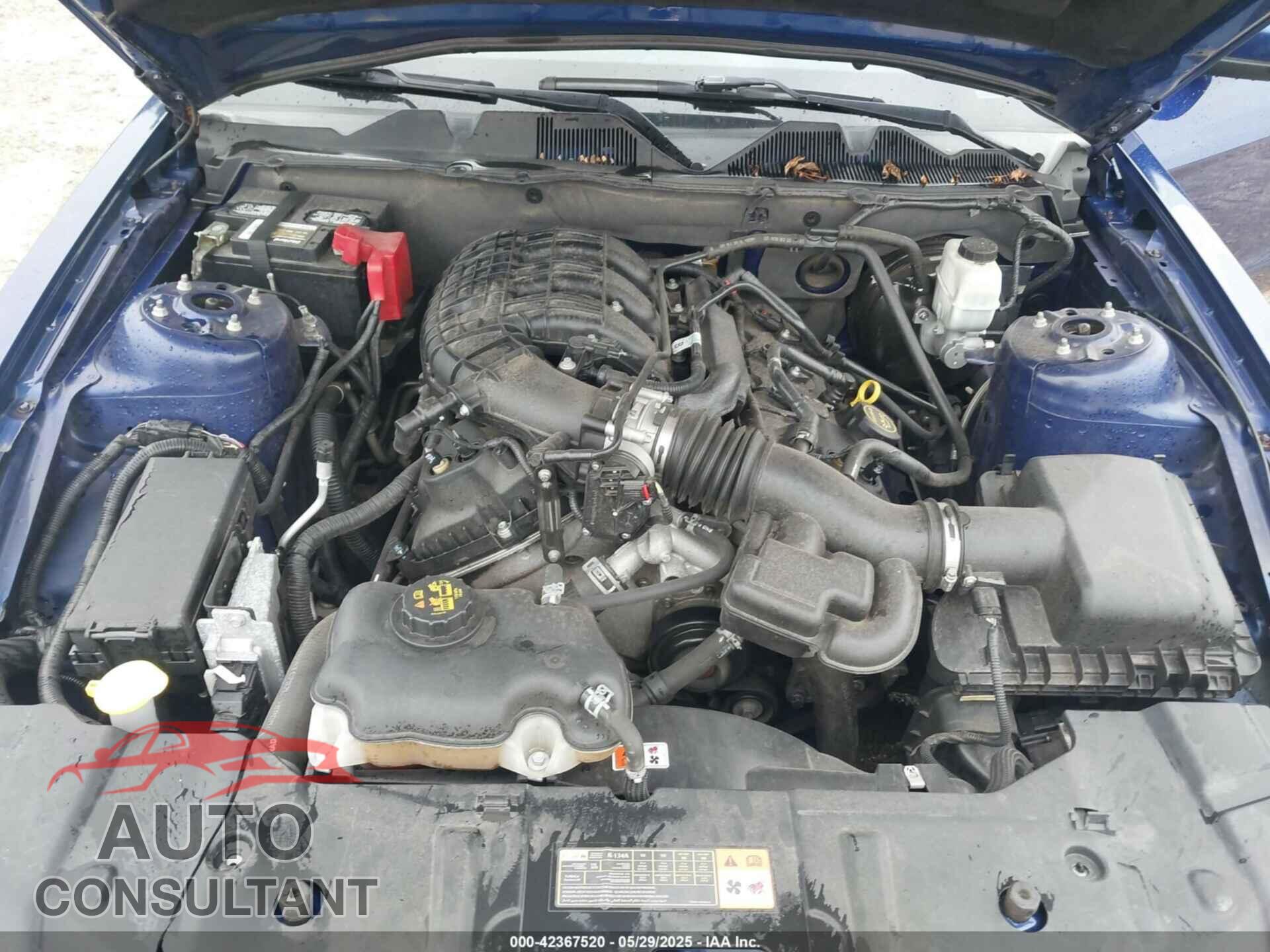 FORD MUSTANG 2014 - 1ZVBP8AM4E5282543