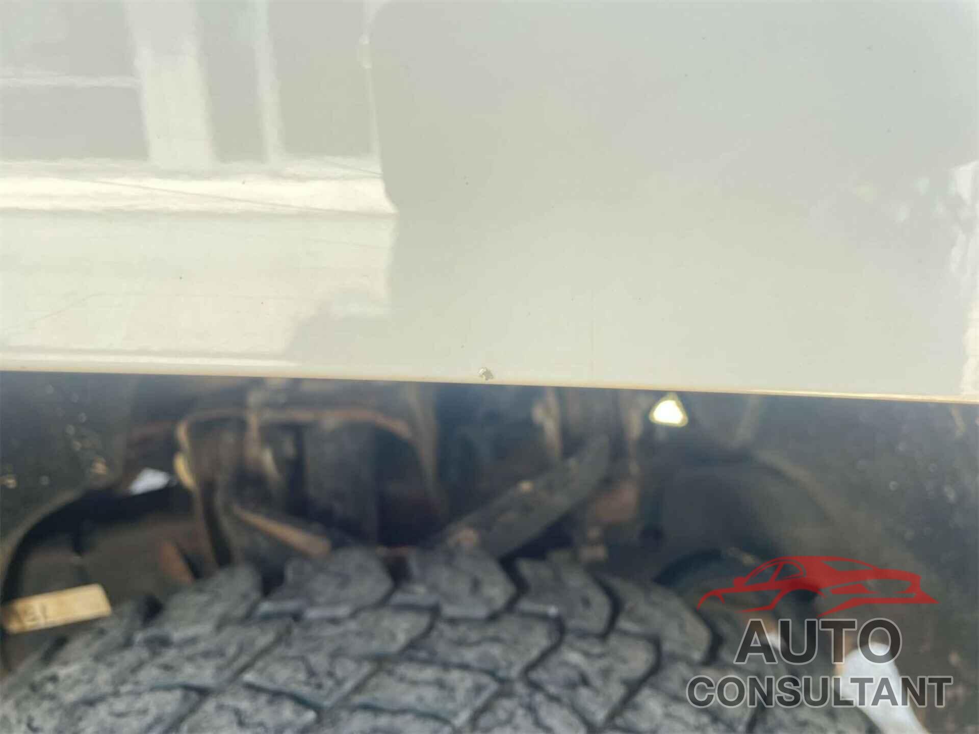 CHEVROLET SILVERADO 2019 - 2GC2KSEG5K1161374