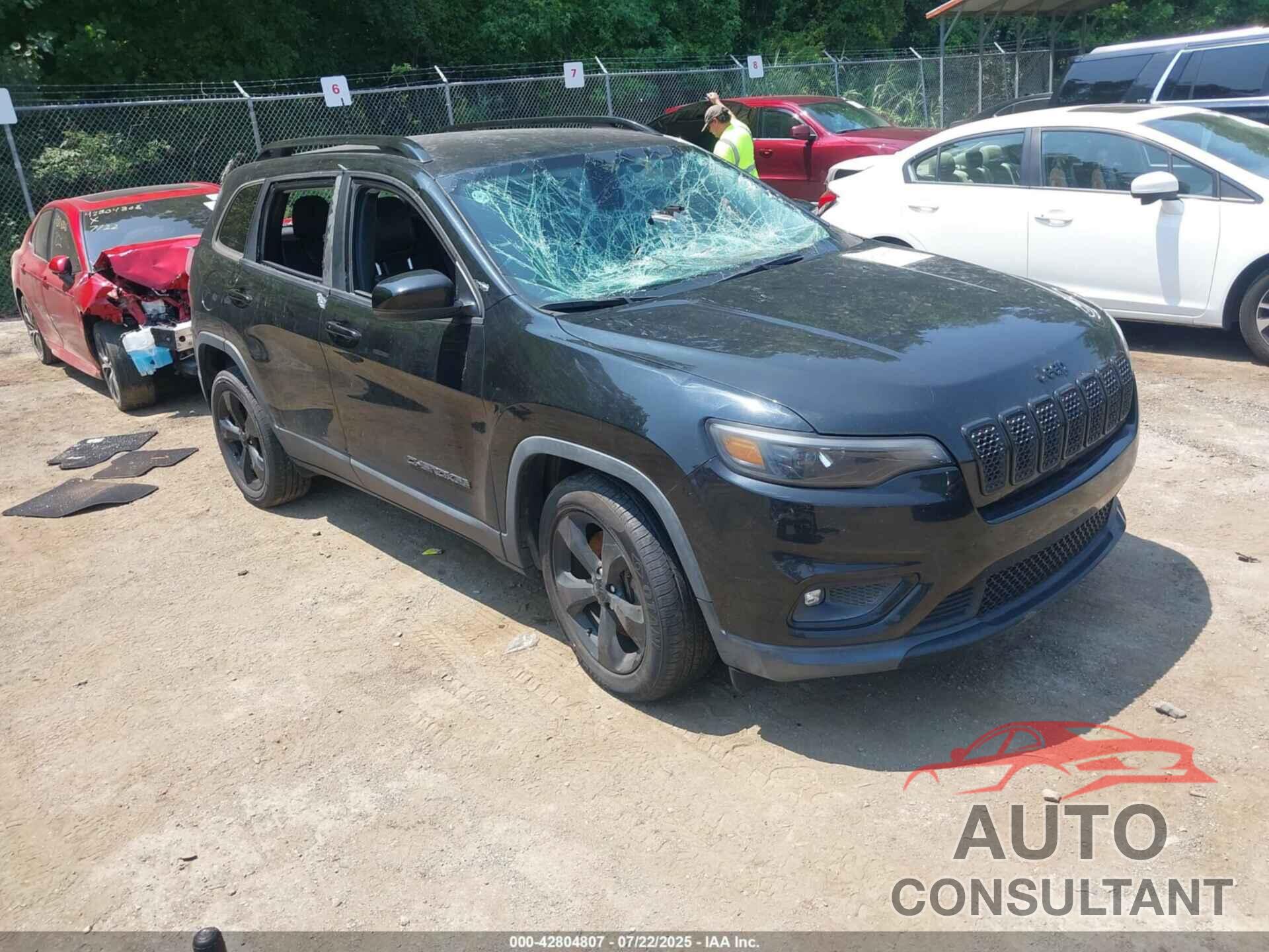 JEEP CHEROKEE 2019 - 1C4PJLLB0KD439706