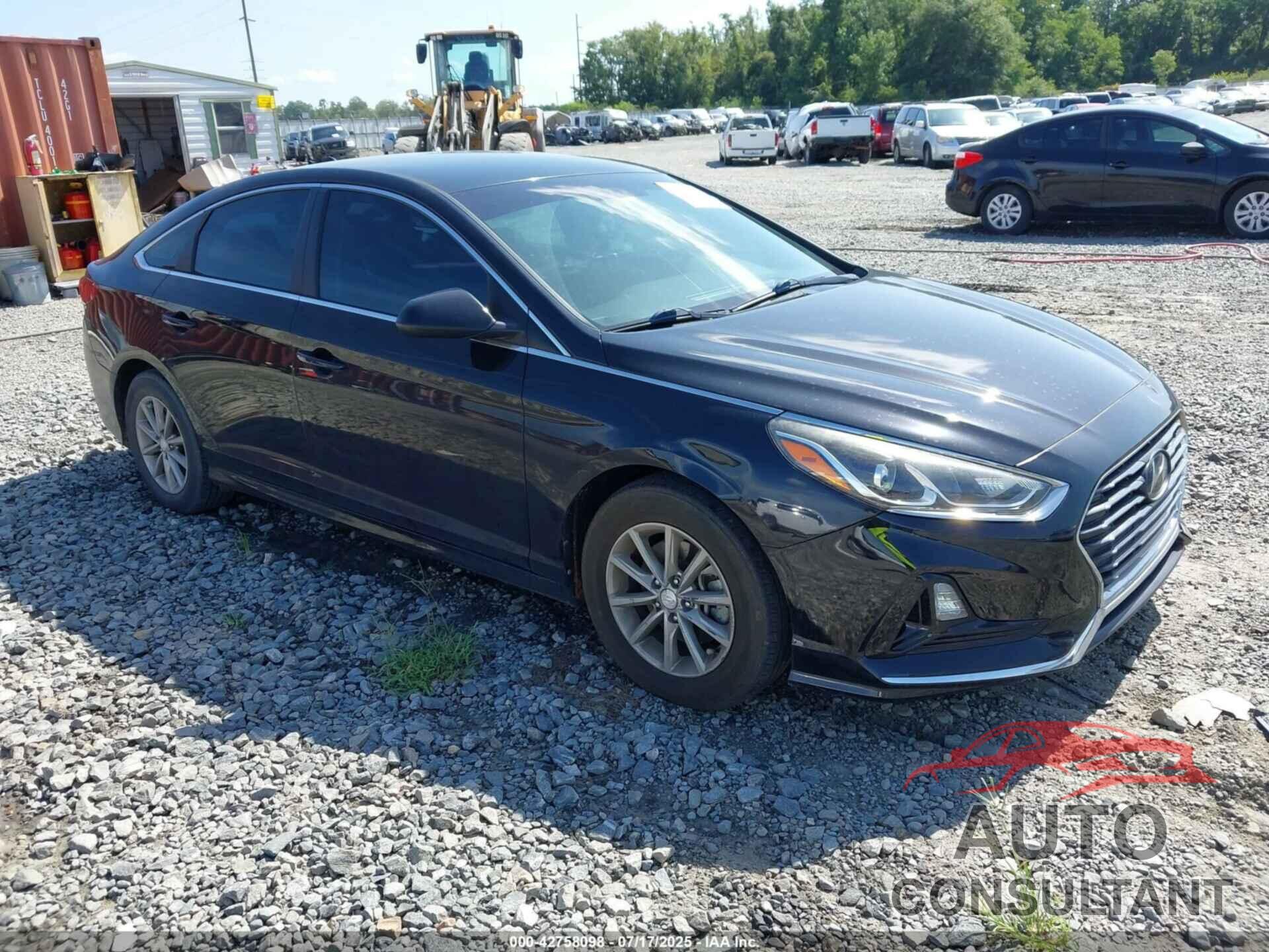 HYUNDAI SONATA 2019 - 5NPE24AF2KH764495
