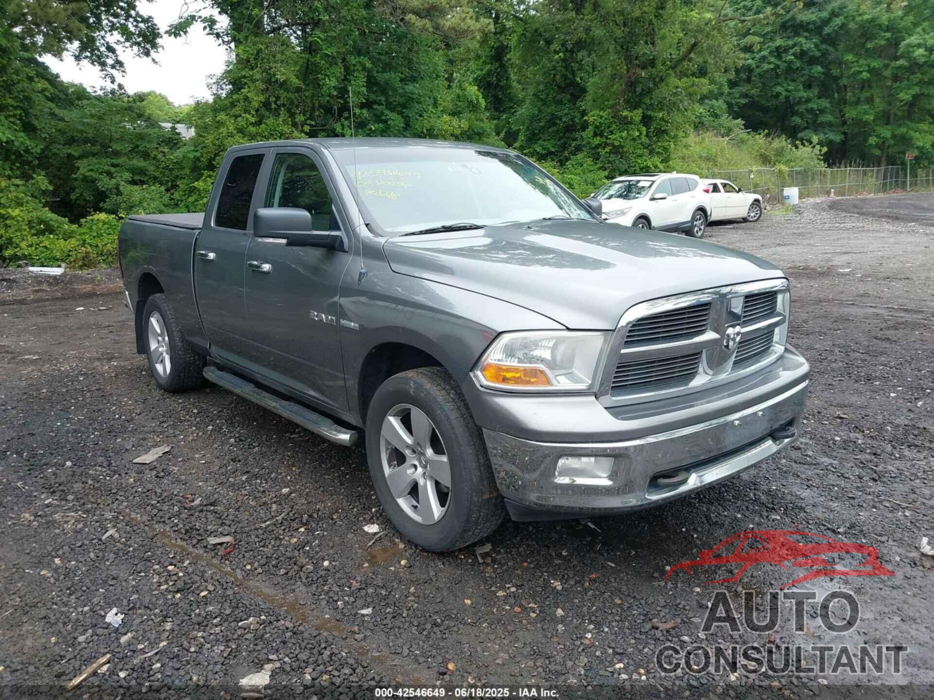 DODGE RAM 1500 2009 - 1D3HV18T69S800254
