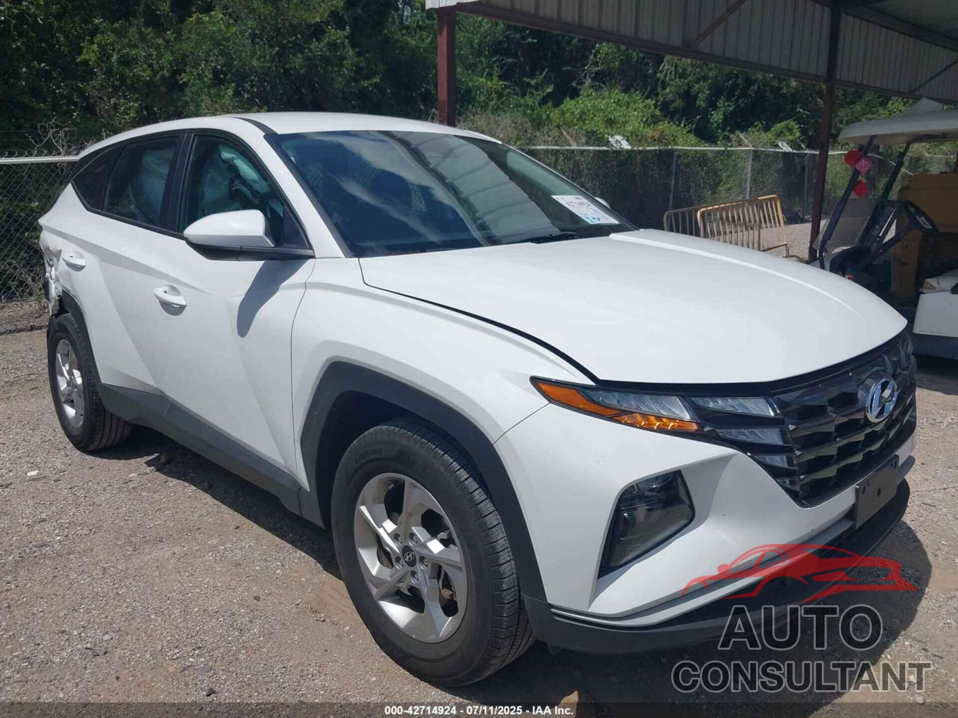 HYUNDAI TUCSON 2024 - 5NMJACDE5RH317889