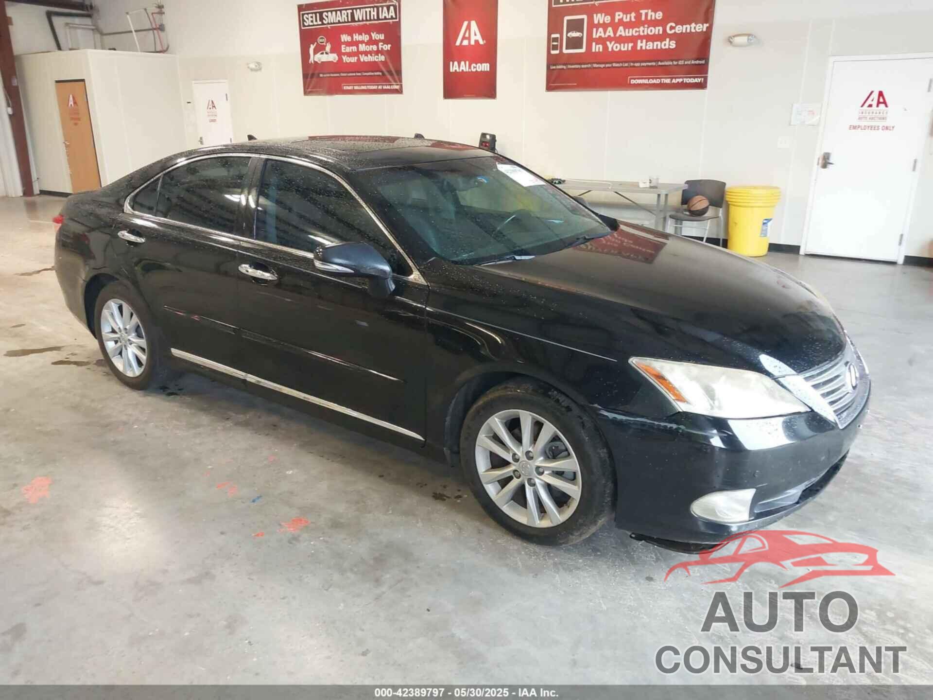 LEXUS ES 350 2010 - JTHBK1EG8A2410421