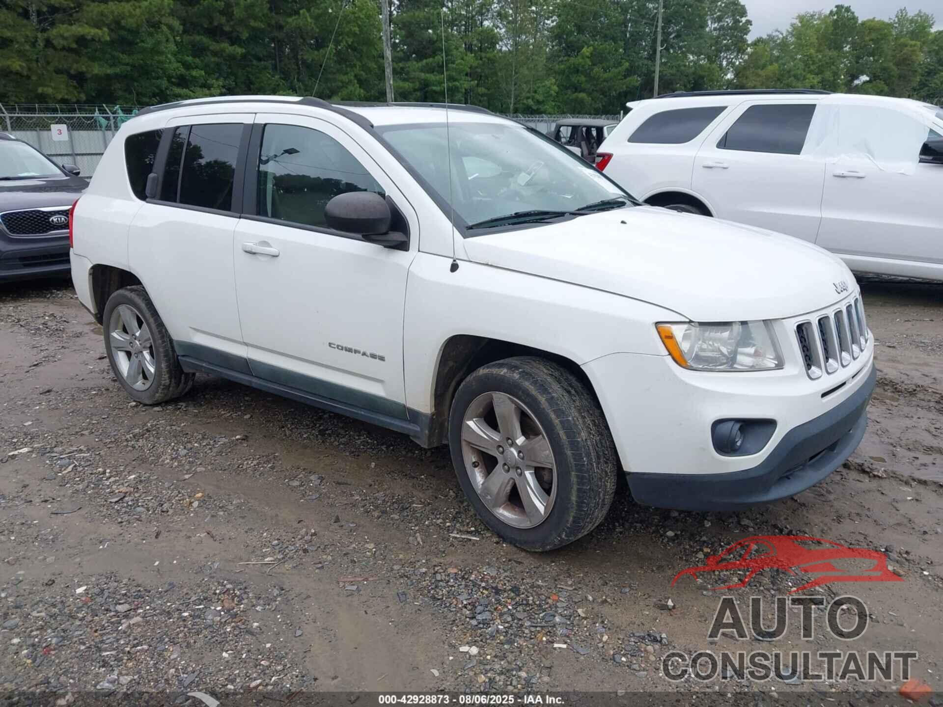 JEEP COMPASS 2011 - 1J4NT5FB5BD230870