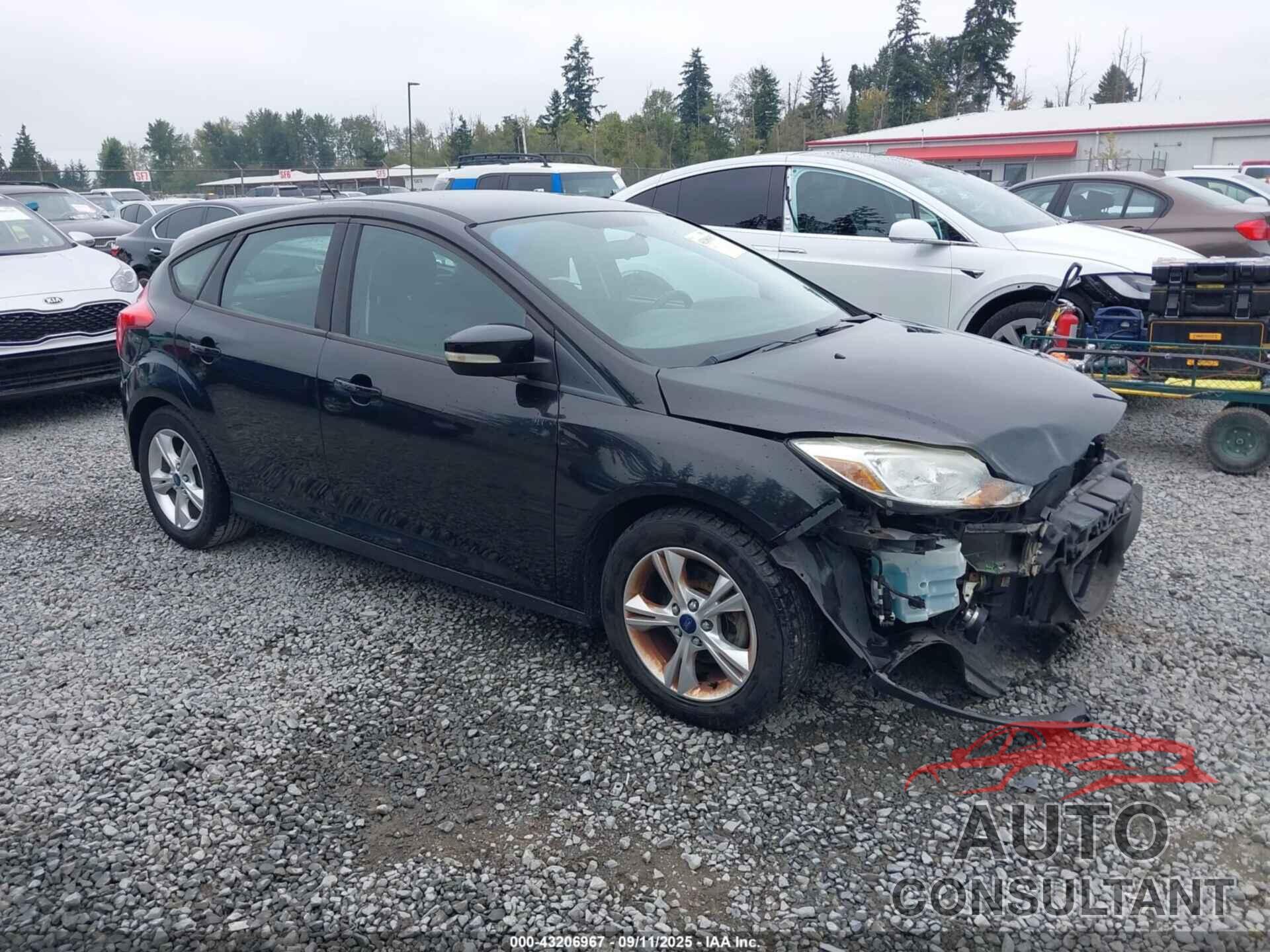 FORD FOCUS 2013 - 1FADP3K21DL297335
