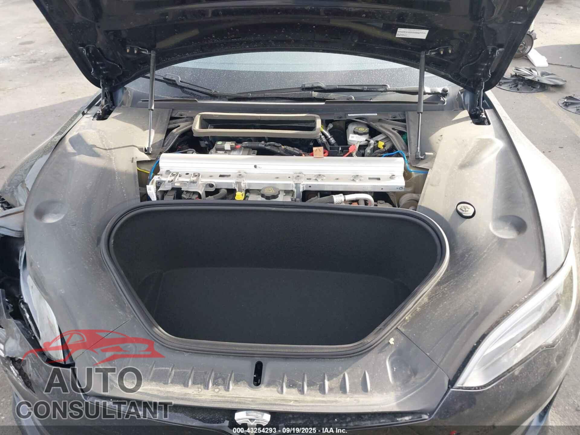 TESLA MODEL S 2024 - 5YJSA1E51RF546482