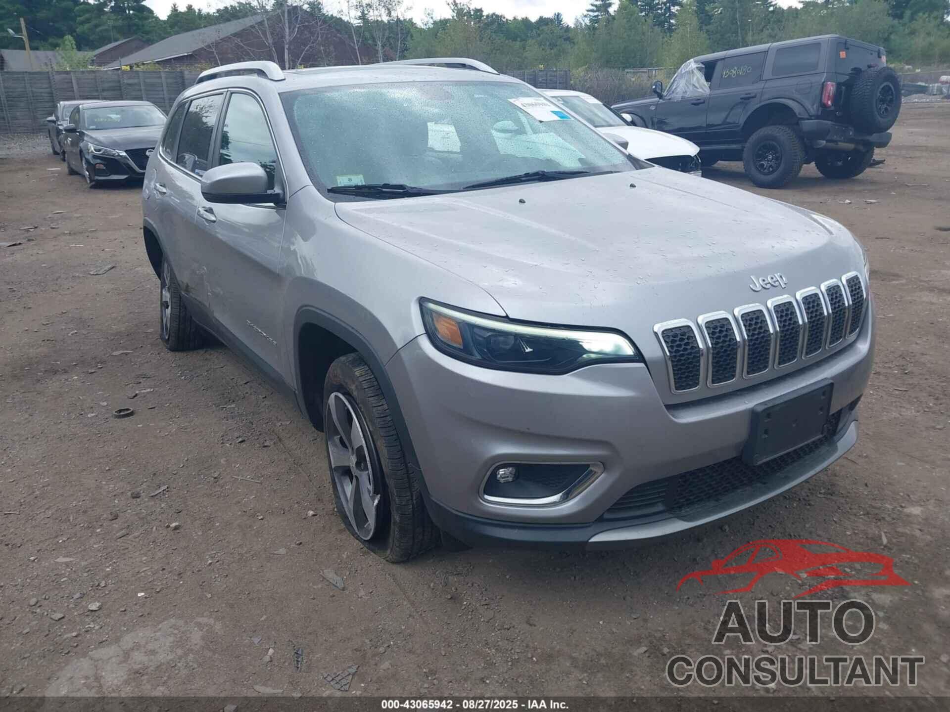 JEEP CHEROKEE 2019 - 1C4PJMDN6KD152143