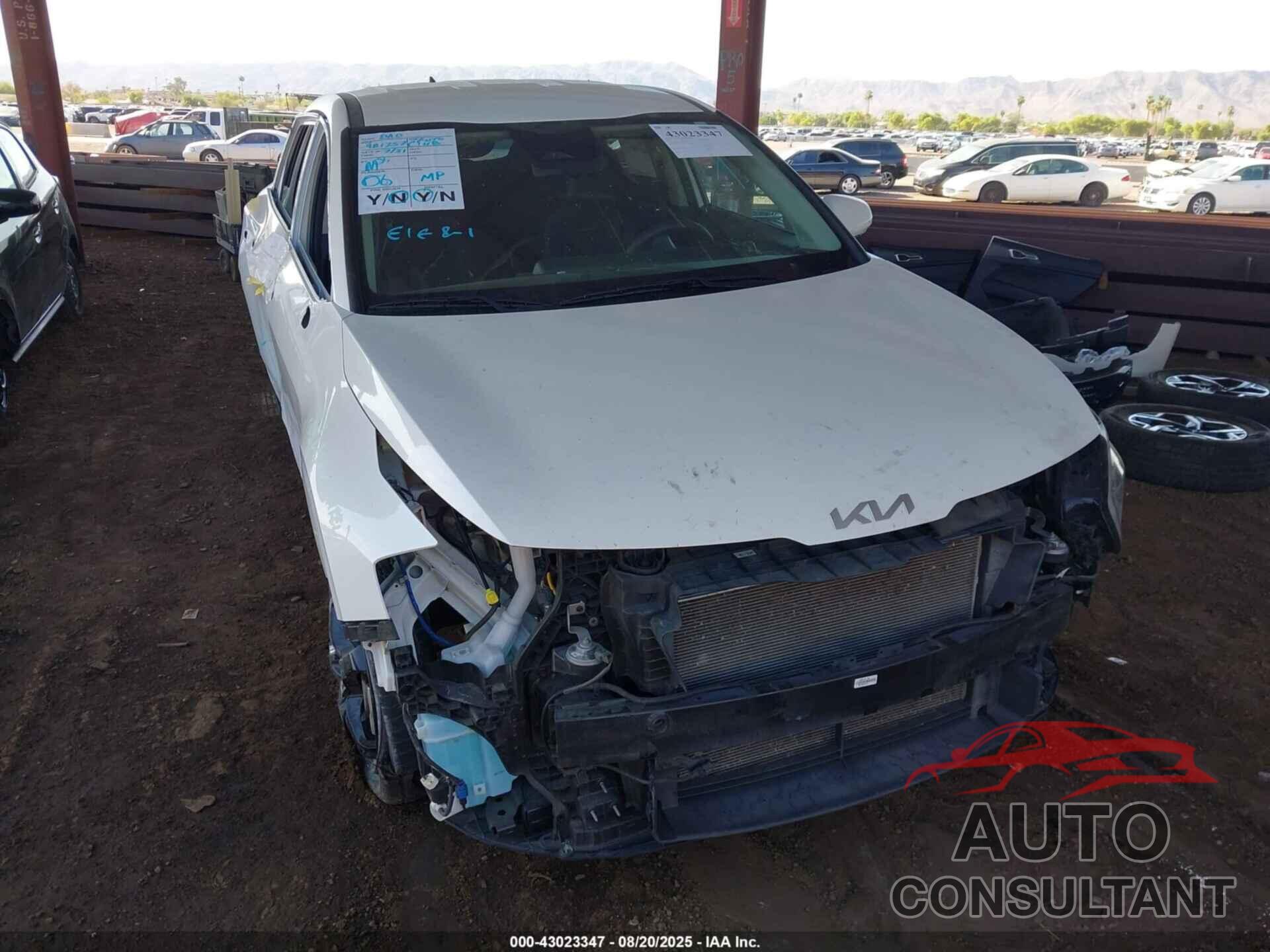 KIA SPORTAGE 2023 - KNDPUCAF3P7085053