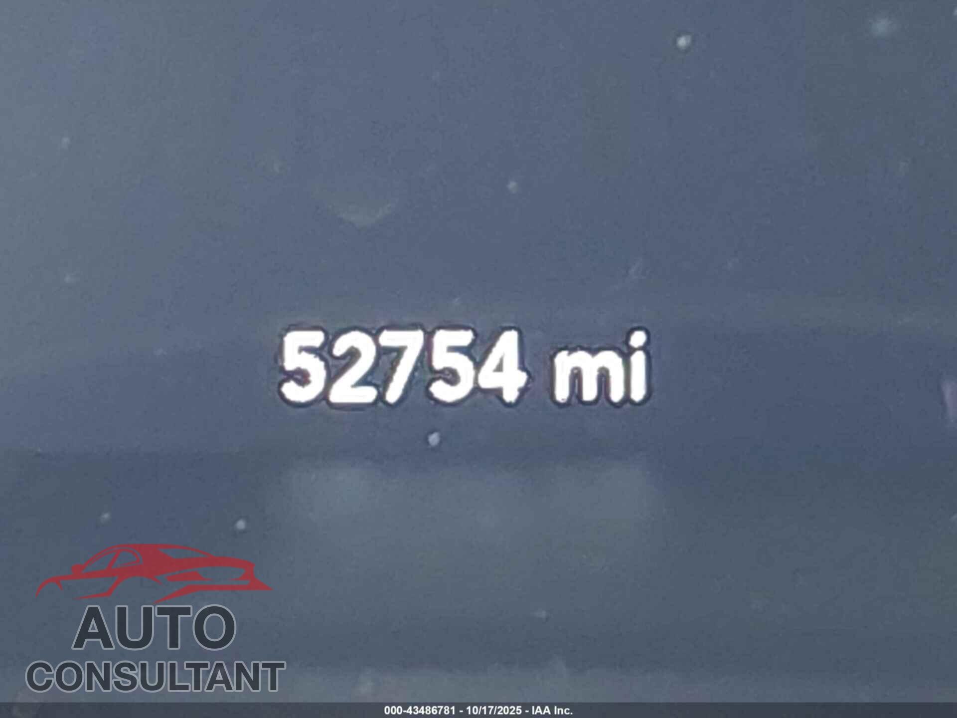DODGE CHALLENGER 2019 - 2C3CDZAG2KH551289