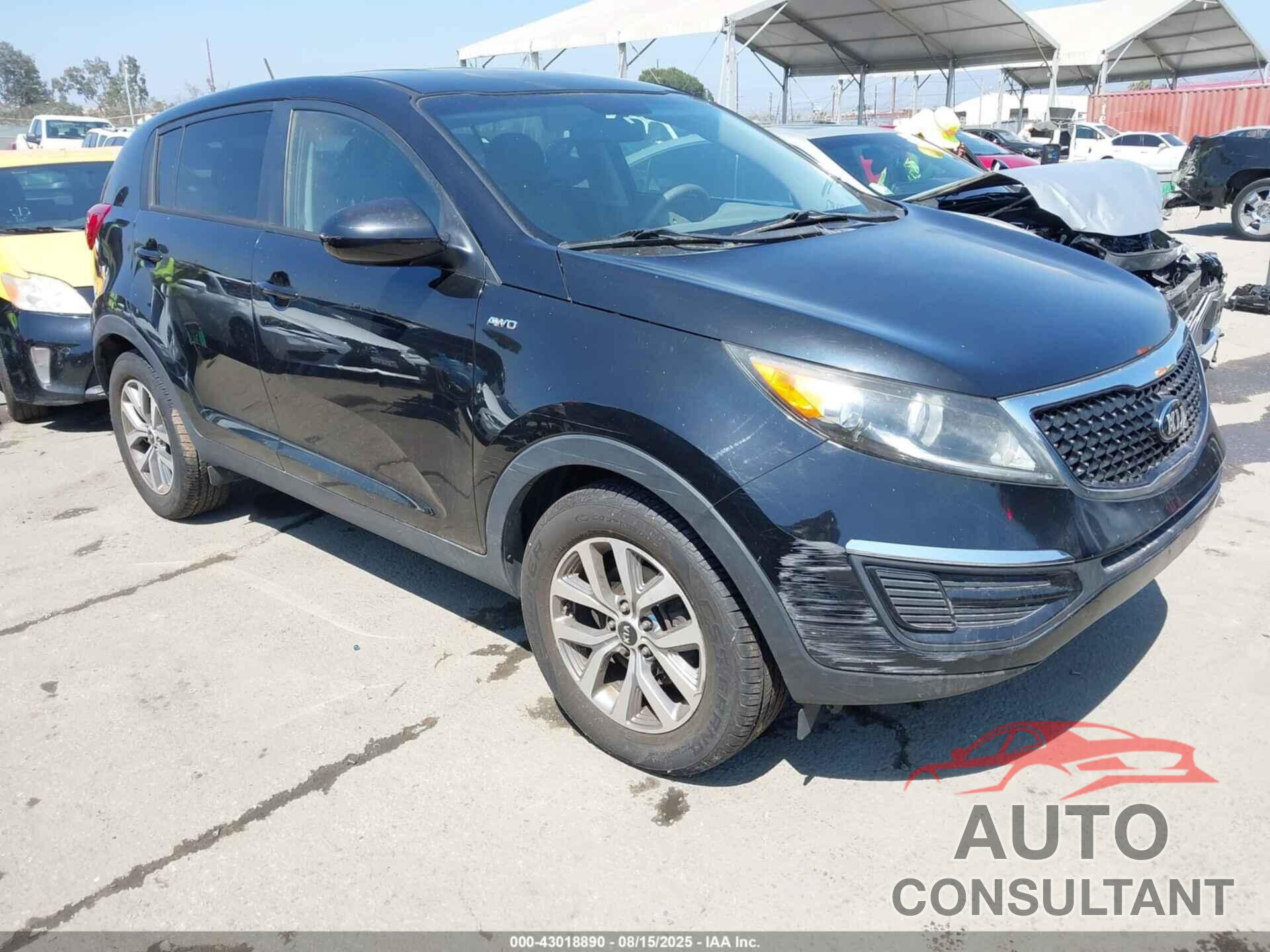 KIA SPORTAGE 2016 - KNDPBCAC4G7817346