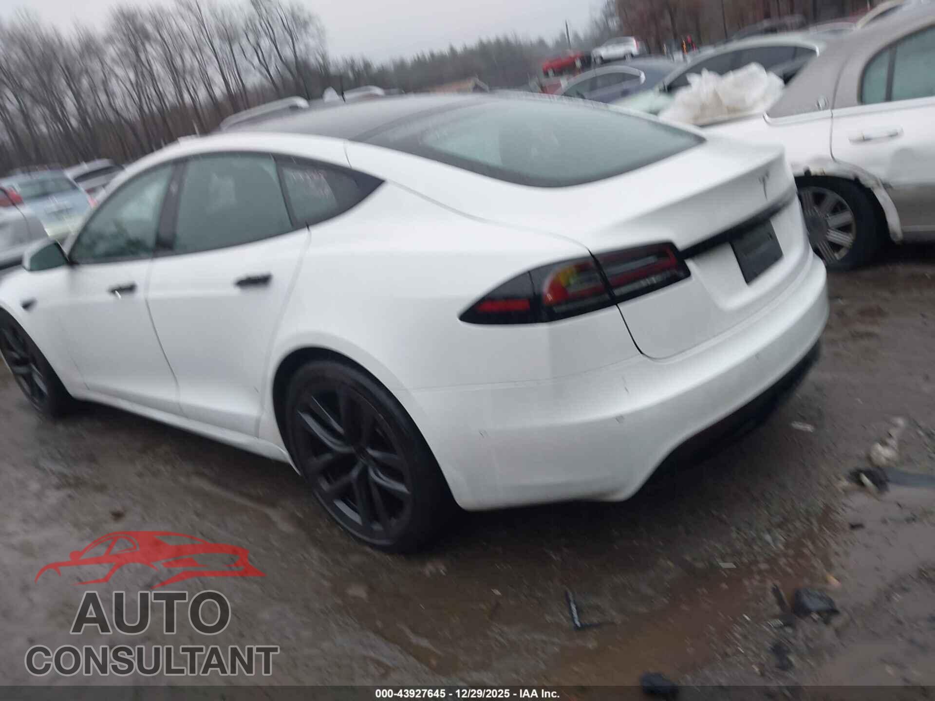 TESLA MODEL S 2022 - 5YJSA1E57NF487545