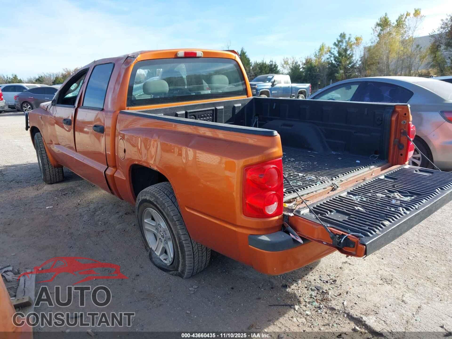 DODGE DAKOTA 2010 - 1D7CE3GP4AS166519