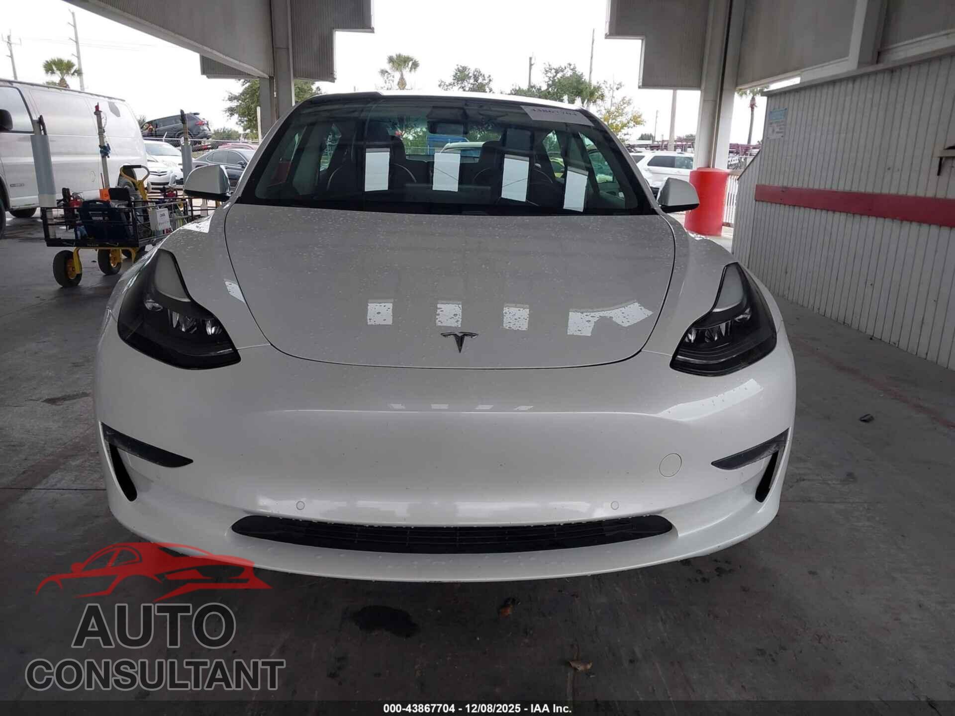TESLA MODEL 3 2021 - 5YJ3E1EA1MF977497