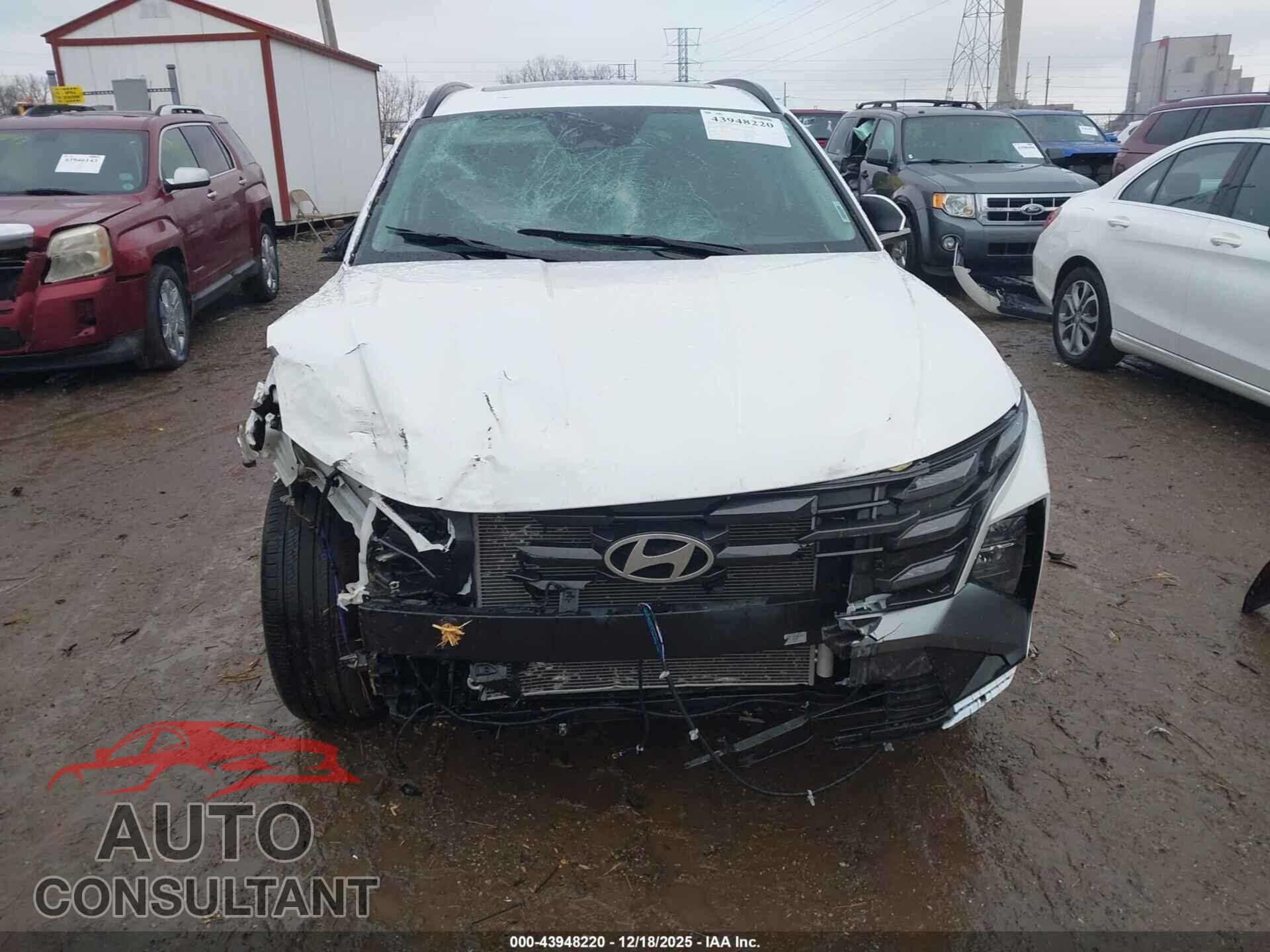 HYUNDAI TUCSON 2025 - 3KMJCCDE9SE007796