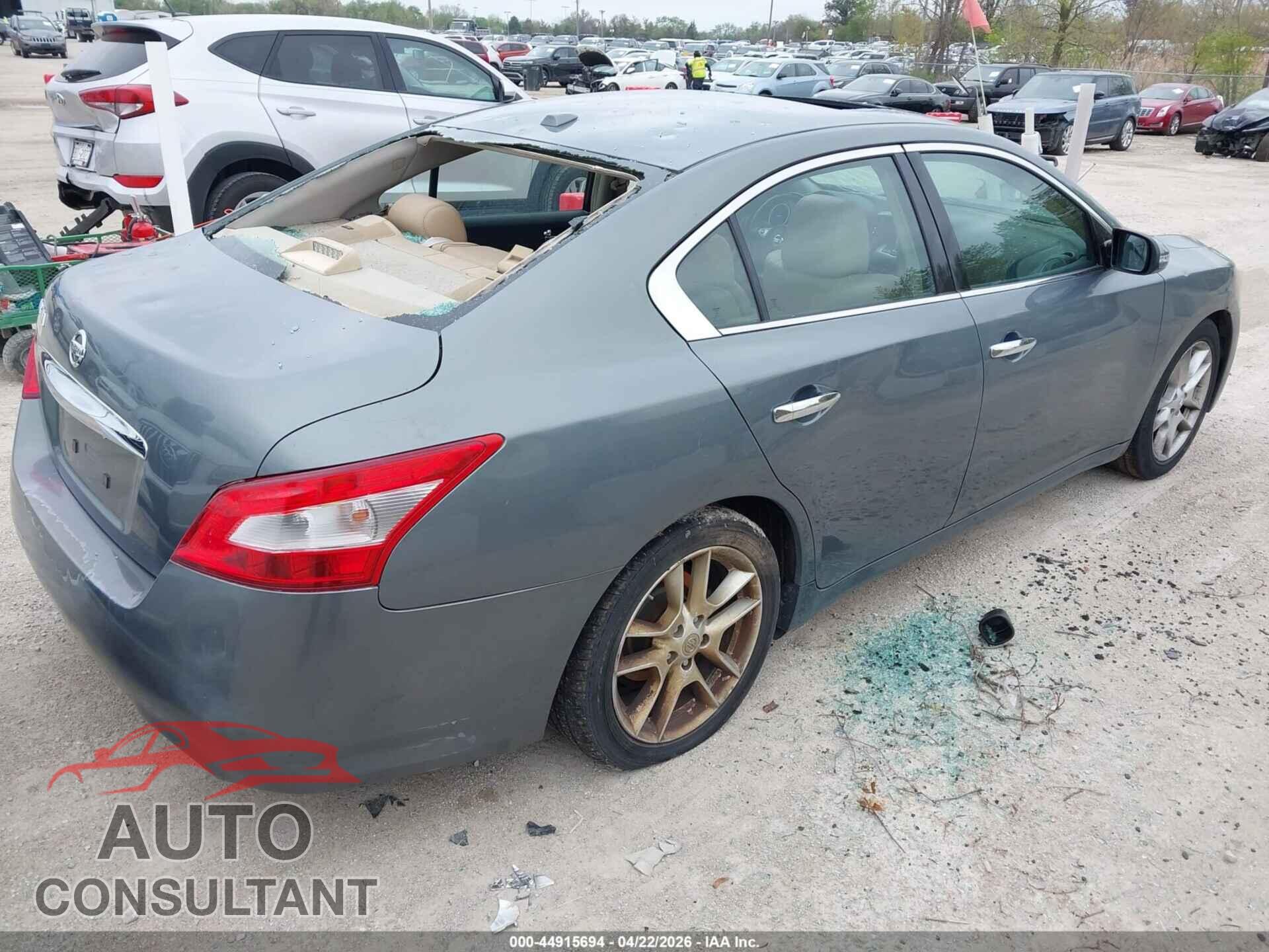 NISSAN MAXIMA 2011 - 1N4AA5AP1BC845733