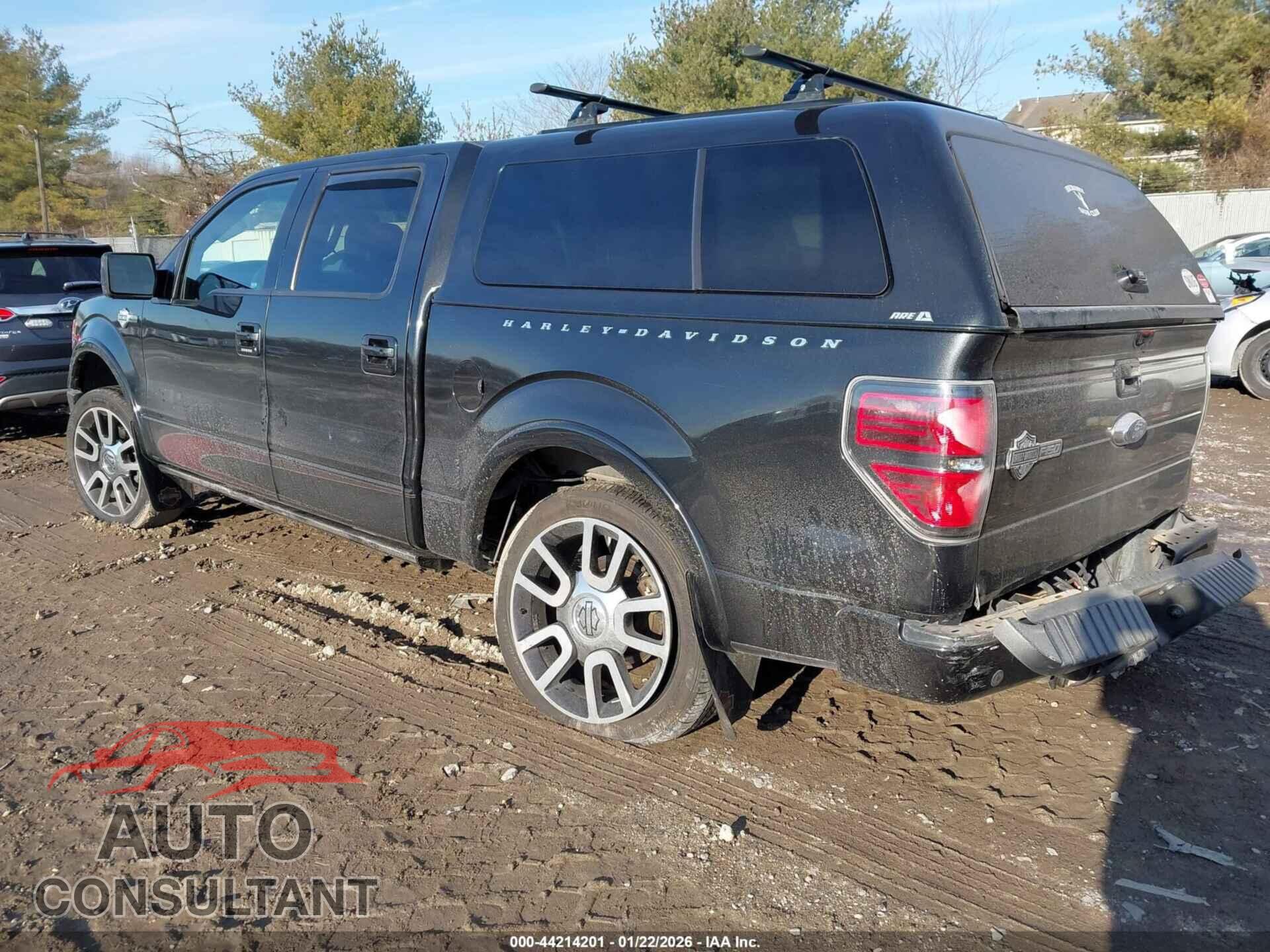 FORD F-150 2010 - 1FTFW1EV6AFD41999