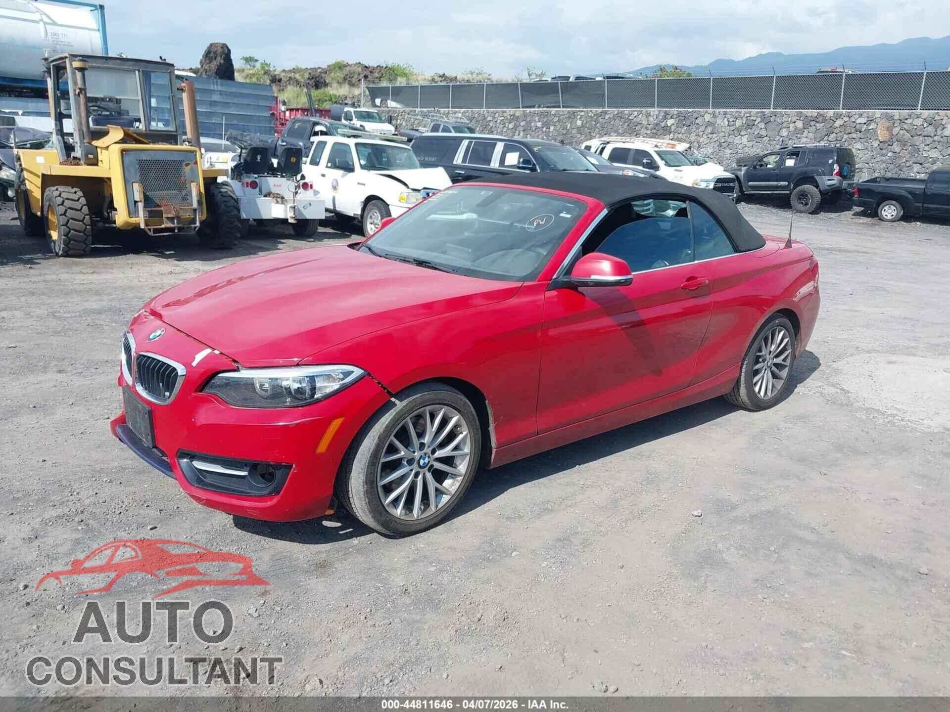BMW 228I 2016 - WBA1L9C52GV324858