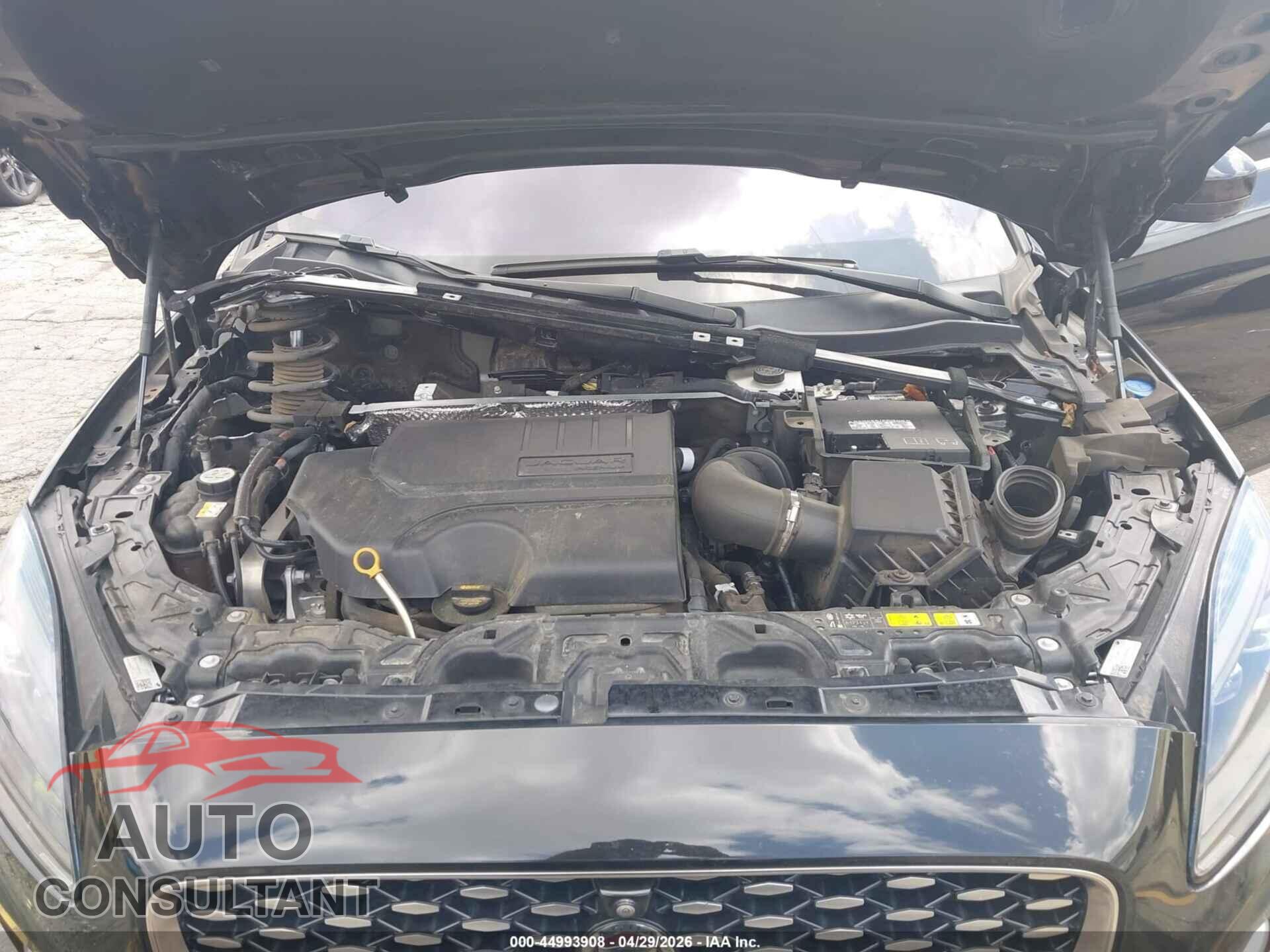 JAGUAR E-PACE 2021 - SADFP2FXXM1019357