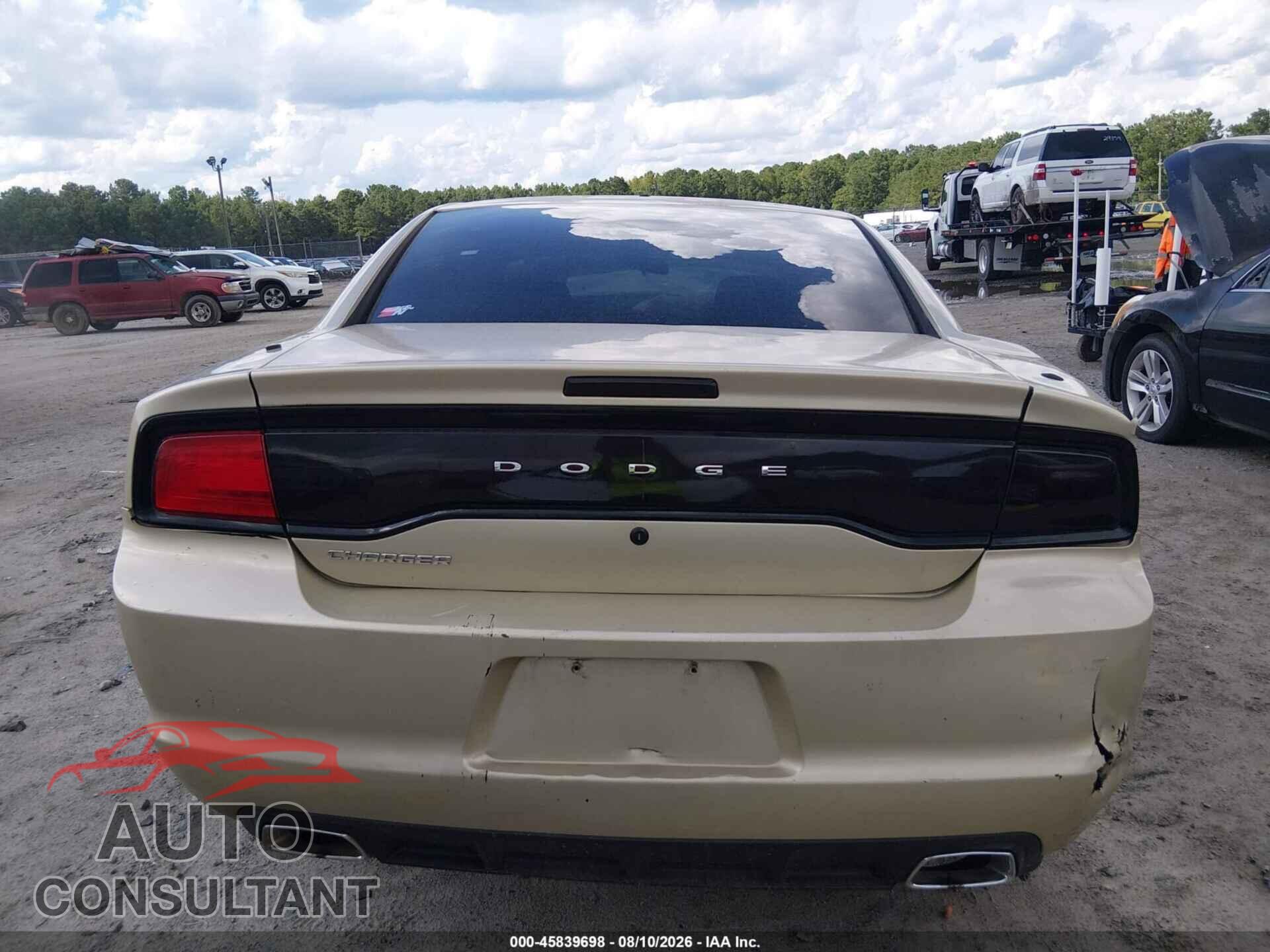 DODGE CHARGER 2013 - 2C3CDXAT2DH648366