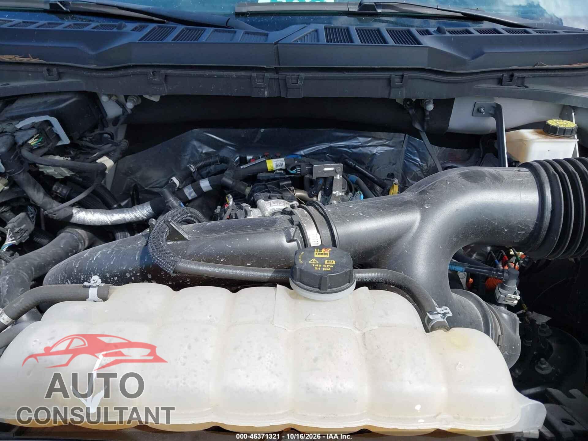 FORD F-150 2024 - 1FTEW3KP6RKD42800